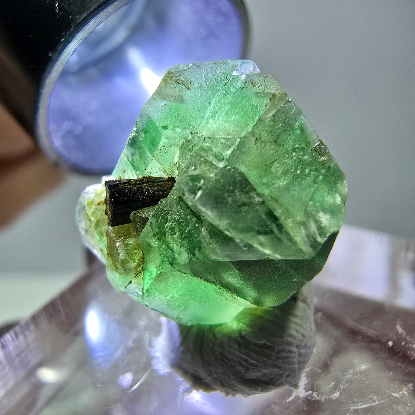 Cube hexagonal de fluorite fantôme, muscovite, tourmaline Schörl, Erongo, Namibie 14 x 13 x 12 mm