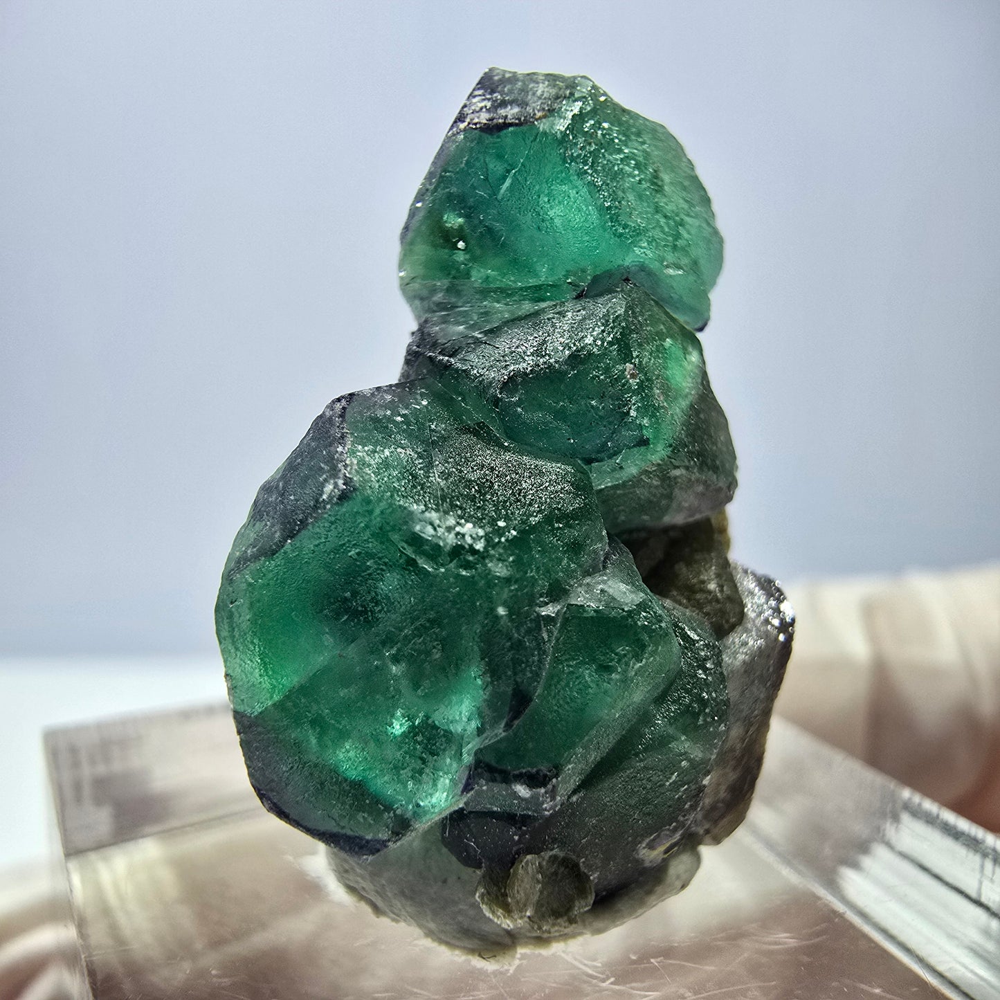 Cube hexagonal de fluorite fantôme, muscovite, tourmaline Schörl, Erongo, Namibie, 26 x 20 x 14 mm