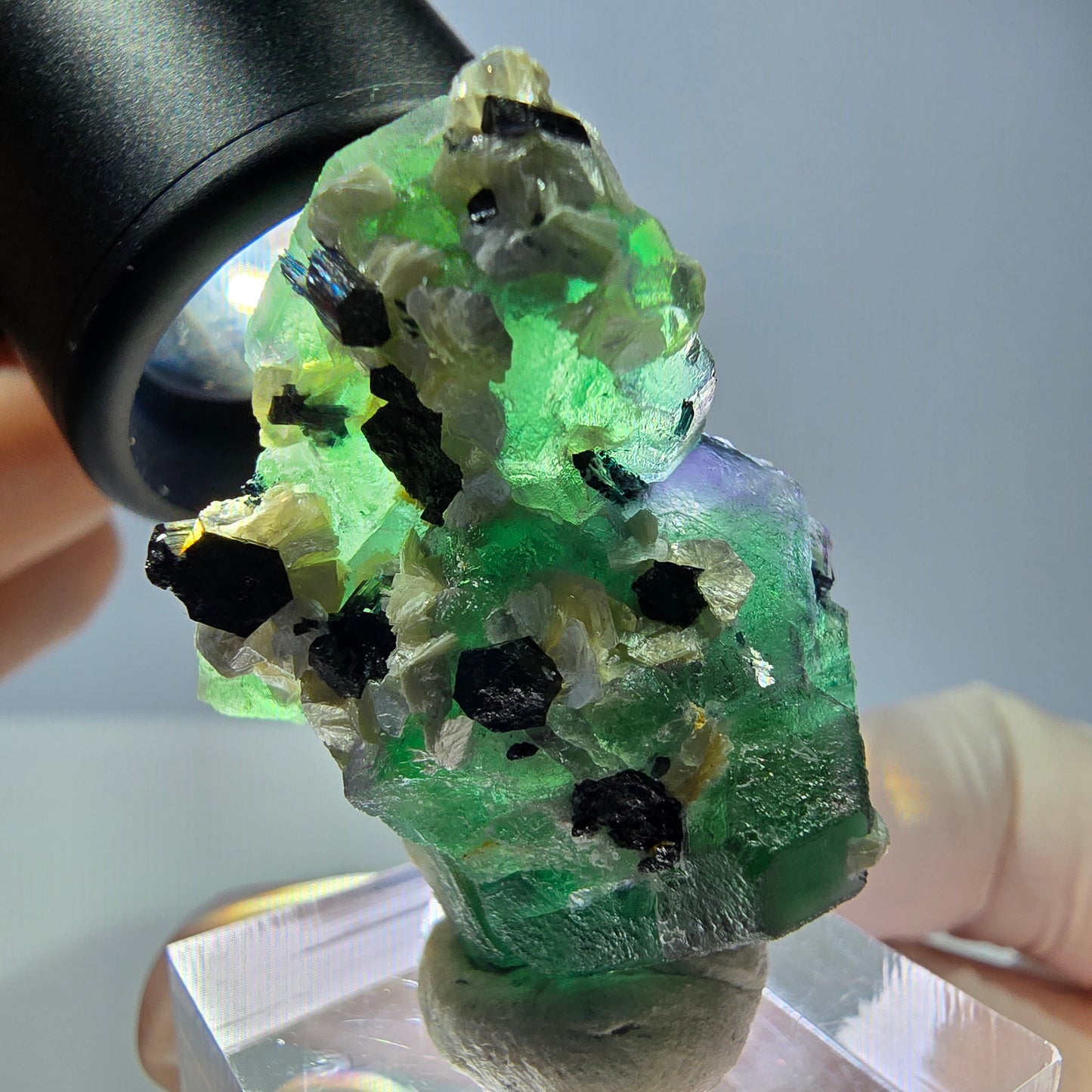 Cube de fluorite fantôme hexagonal, muscovite, tourmaline Schörl Erongo, Namibie 39*25*21mm