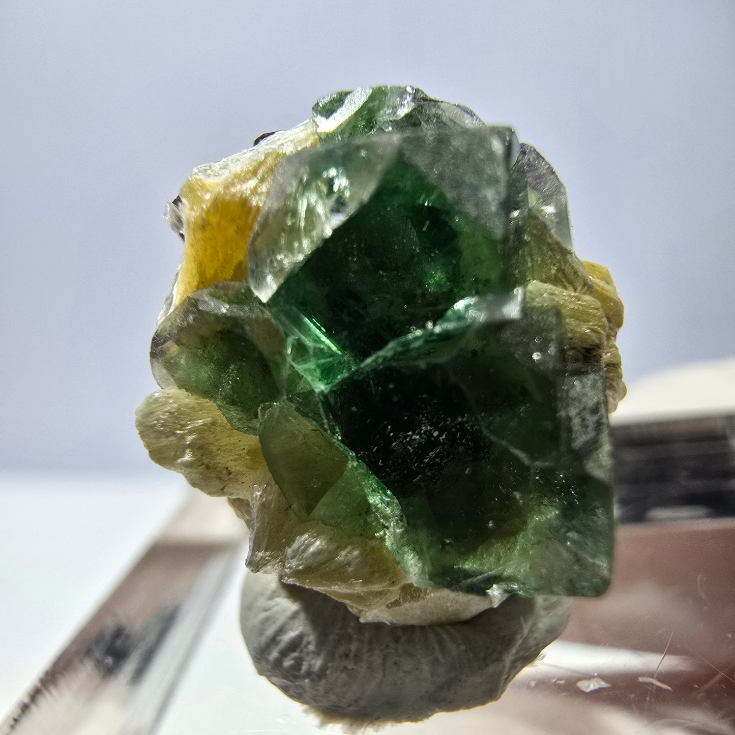 Cube de fluorite fantôme, spécimen de muscovite, Erongo, Namibie, 15 x 13 x 10 mm