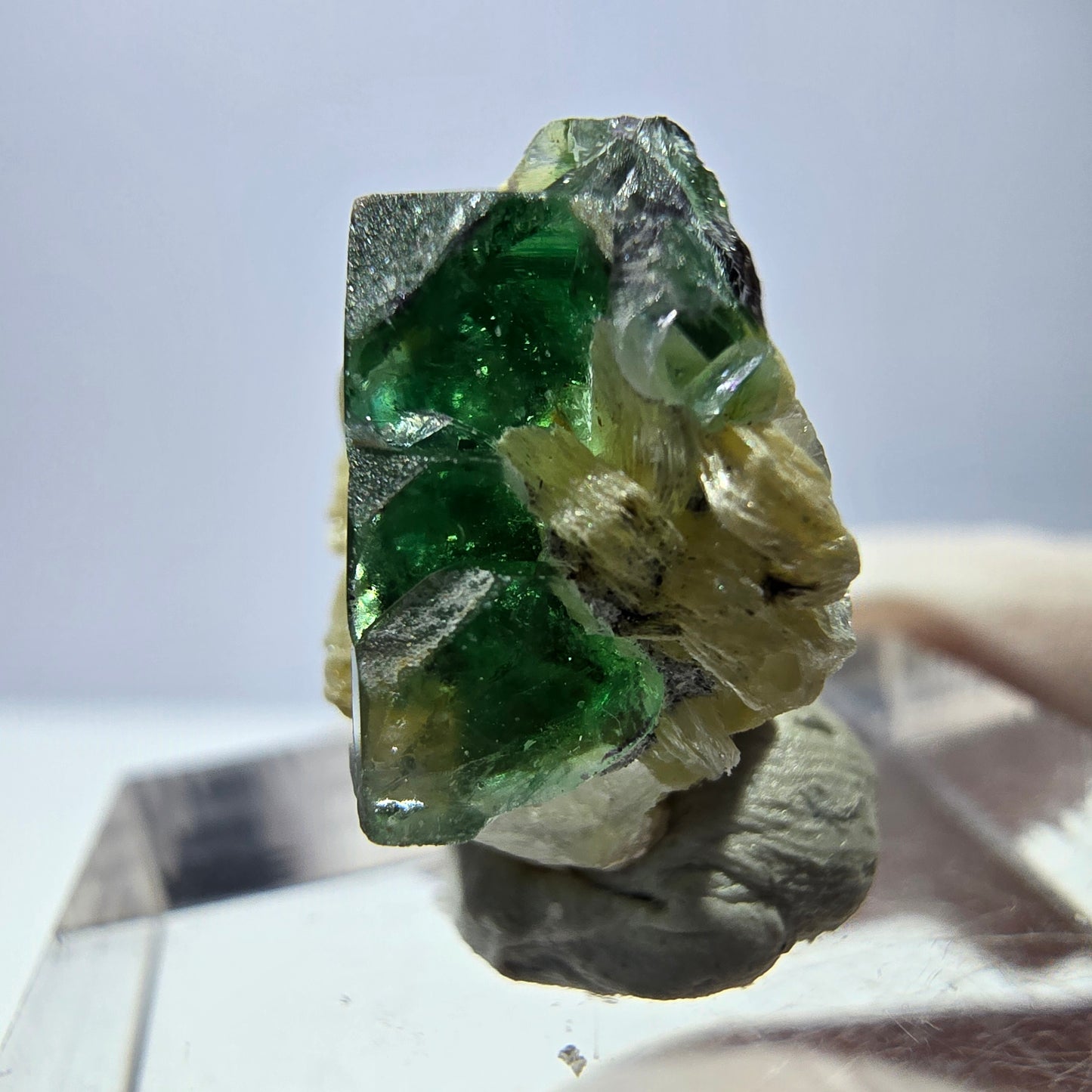 Cube de fluorite fantôme, spécimen de muscovite, Erongo, Namibie, 15 x 13 x 10 mm