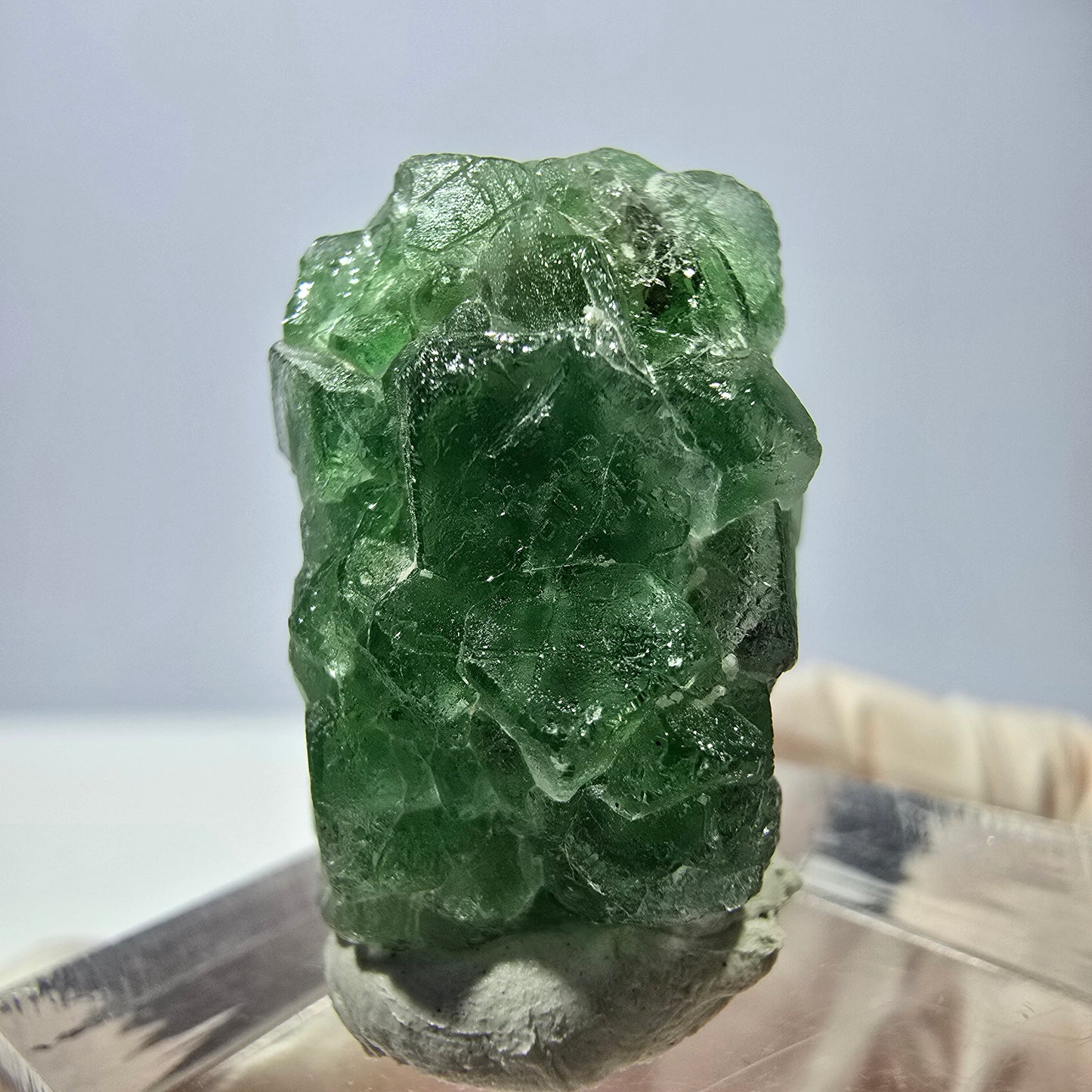 Cube de fluorite fantôme, spécimen de tourmaline Schorl, Erongo, Namibie, 22 x 16 x 16 mm