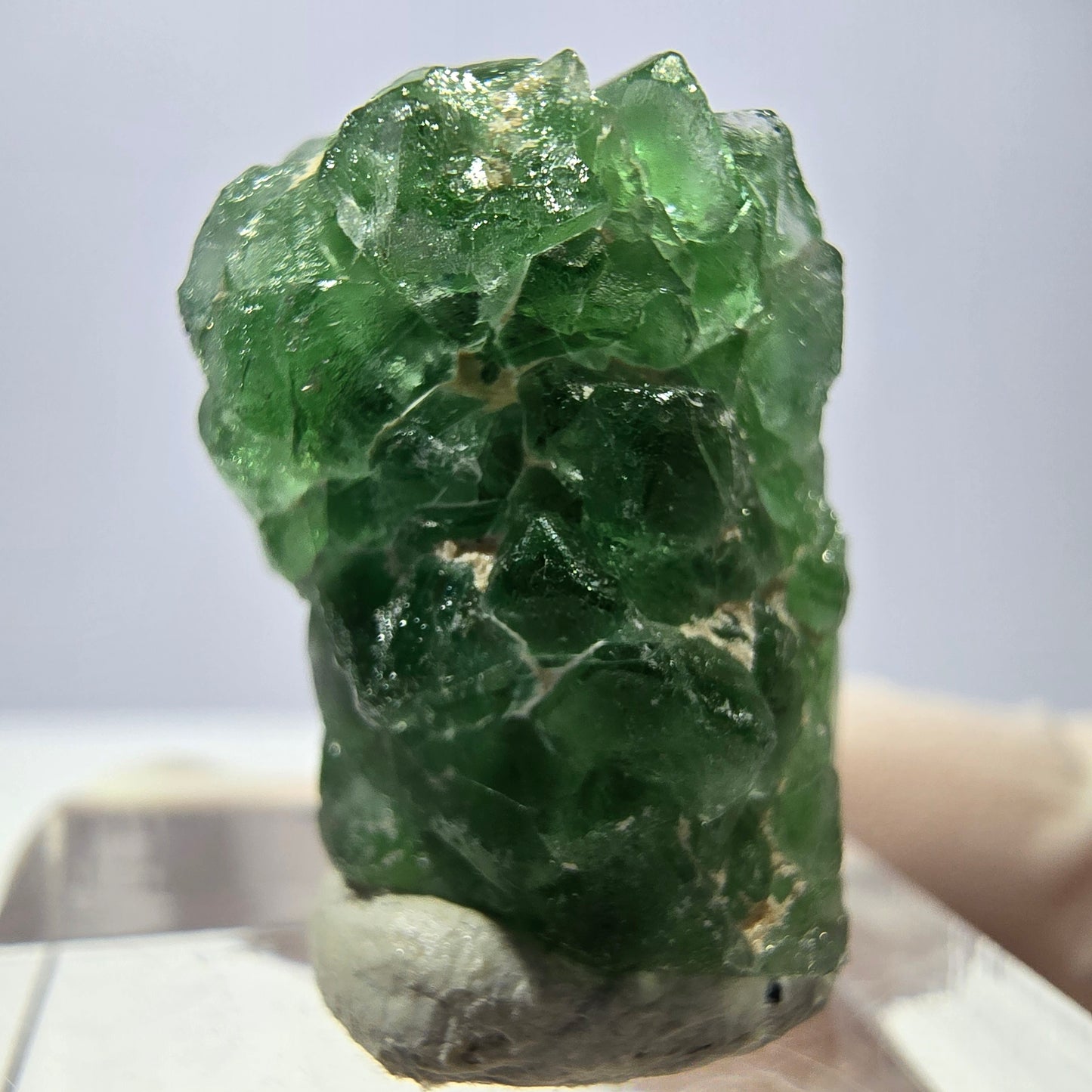Cube de fluorite fantôme, spécimen de tourmaline Schorl, Erongo, Namibie, 22 x 16 x 16 mm