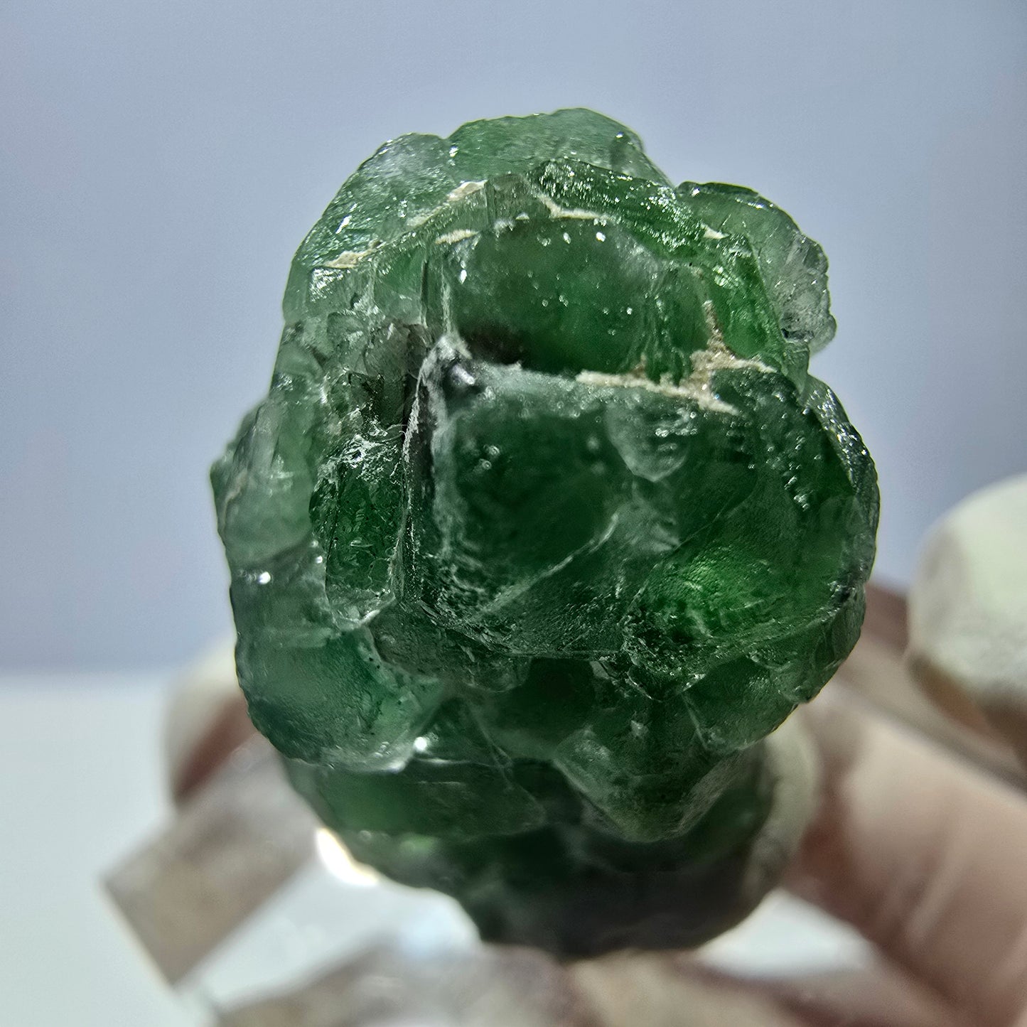 Cube de fluorite fantôme, spécimen de tourmaline Schorl, Erongo, Namibie, 22 x 16 x 16 mm