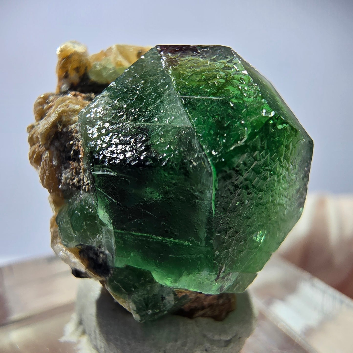 Cube hexagonal de fluorite fantôme, muscovite, tourmaline Schörl, Erongo, Namibie, 20 x 17 x 13 mm