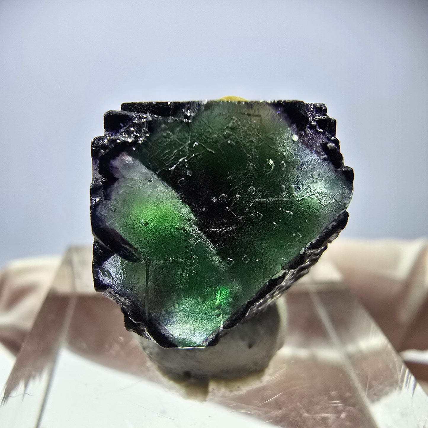 Cube de fluorite fantôme, zonal, muscovite, tourmaline Schorl, Erongo, Namibie, 17 x 14 x 12 mm