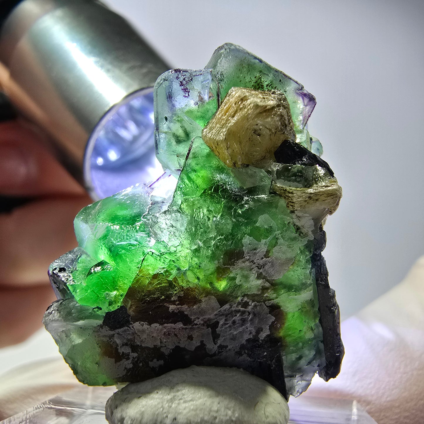 Cube de fluorite fantôme, zonal, muscovite, spécimen de tourmaline Schorl, Erongo, Namibie, 30 x 25 x 15 mm