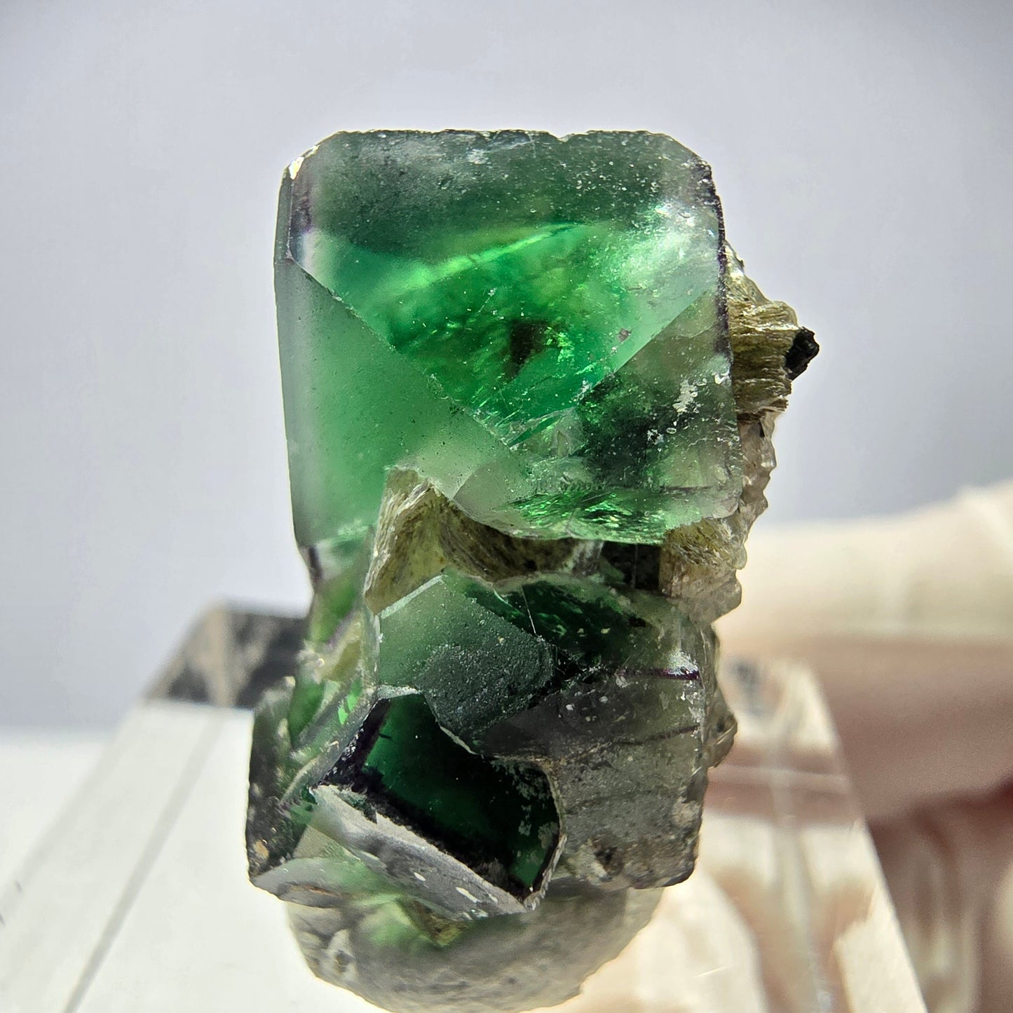 Fluorite fantôme, quartz fumé, hyalite, tourmaline Schörl, muscovite, Erongo, Namibie, 24 x 15 x 16 mm