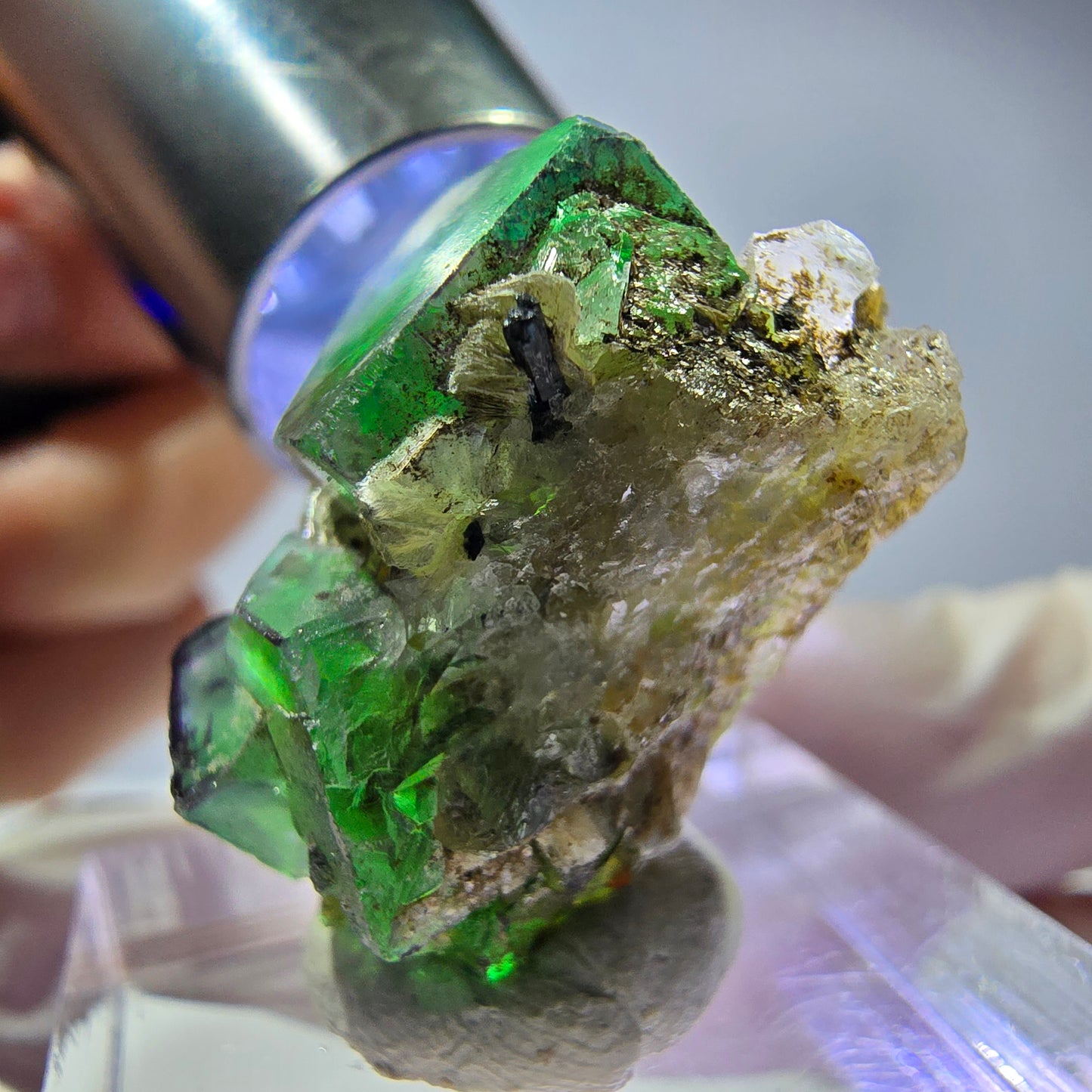 Fluorite fantôme, quartz fumé, hyalite, tourmaline Schörl, muscovite, Erongo, Namibie, 24 x 15 x 16 mm