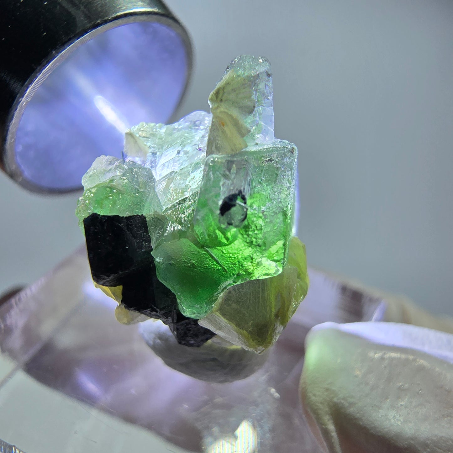 Cube de fluorite fantôme, muscovite et tourmaline Schorl, spécimen d'Erongo, Namibie, 18 x 14 x 13 mm