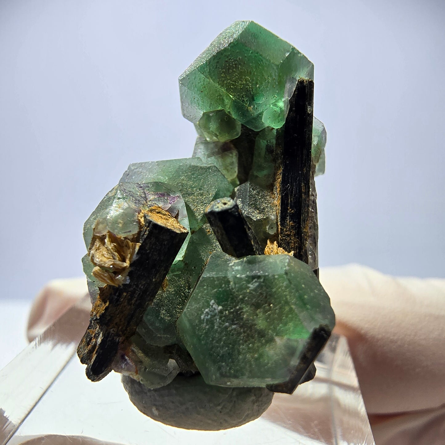 Cube hexagonal de fluorite fantôme, muscovite, tourmaline Schörl, Erongo, Namibie, 30 x 23 x 20 mm