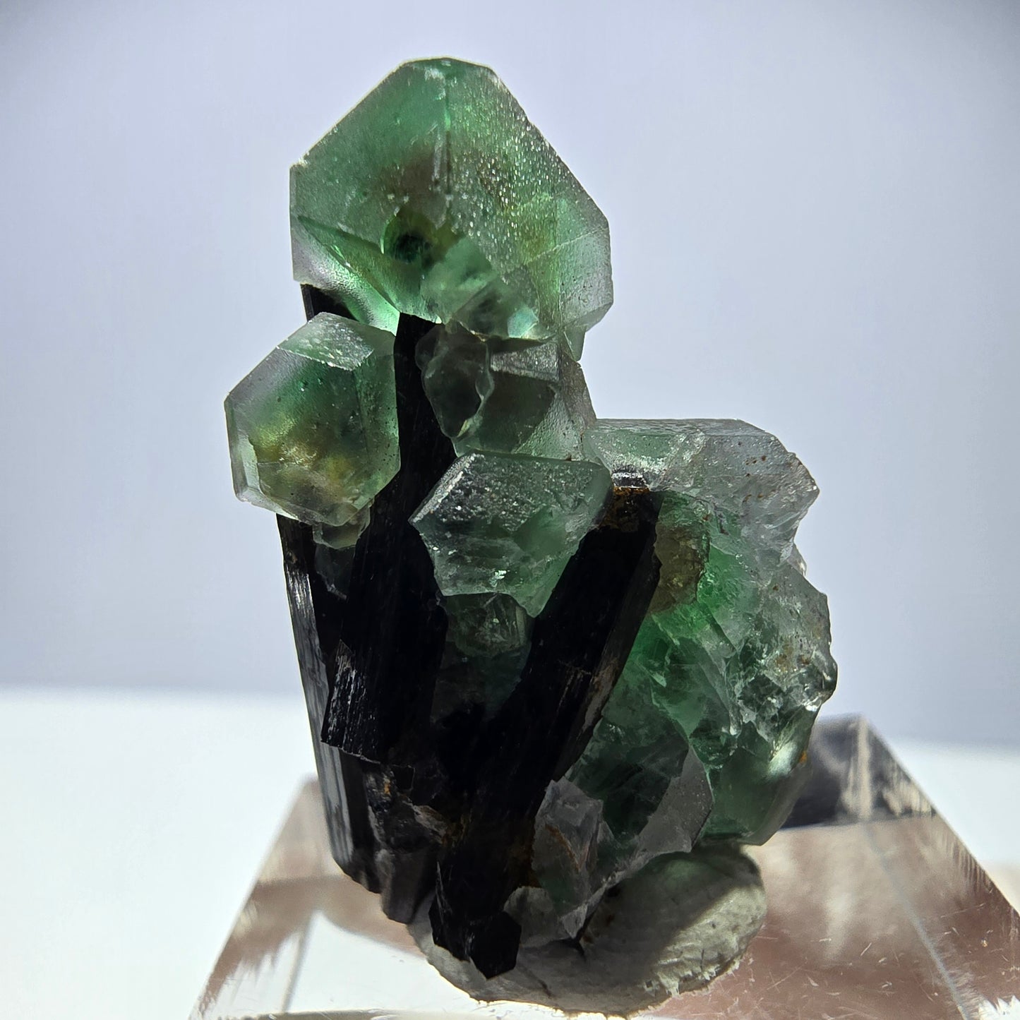Cube hexagonal de fluorite fantôme, muscovite, tourmaline Schörl, Erongo, Namibie, 30 x 23 x 20 mm