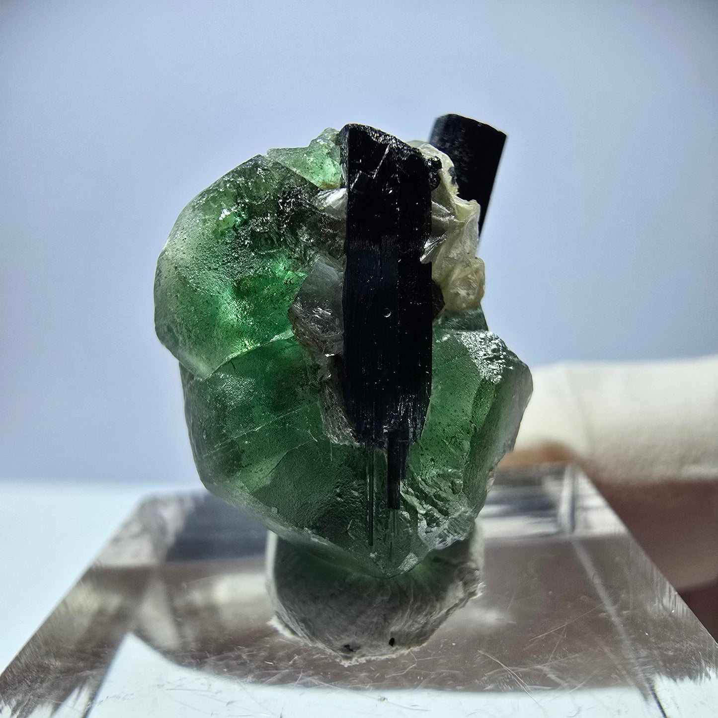 Cube hexagonal de fluorite fantôme, muscovite, tourmaline Schörl, Erongo, Namibie, 22 x 17 x 12 mm