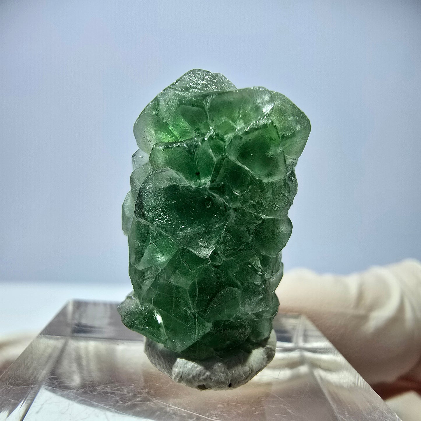 Cube de fluorite fantôme, spécimen de tourmaline Schorl, Erongo, Namibie, 24 x 17 x 16 mm