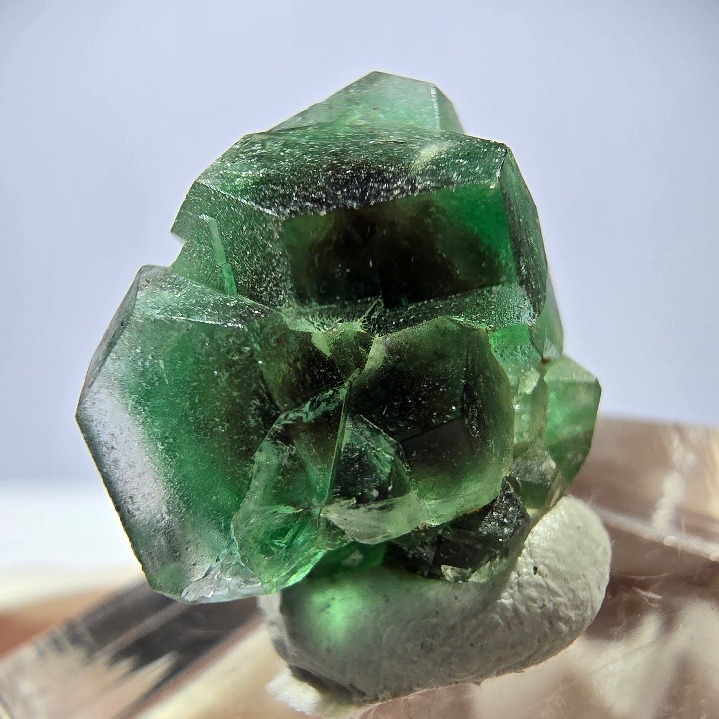Cube hexagonal de fluorite fantôme, tourmaline Schorl d'Erongo, Namibie 17 x 16 x 13 mm