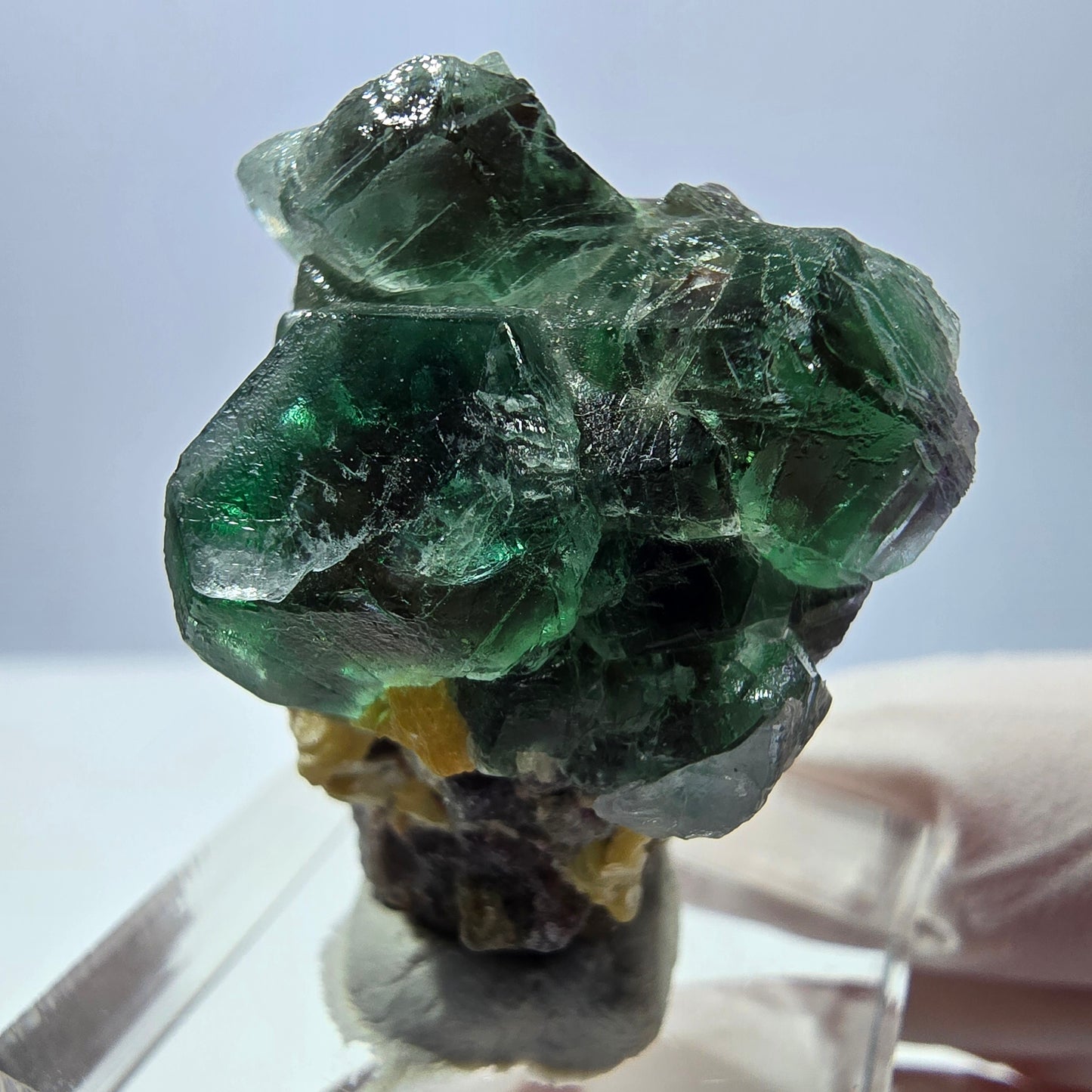 Cube de fluorite fantôme hexagonal, muscovite, tourmaline Schörl Erongo, Namibie 32*26*21mm