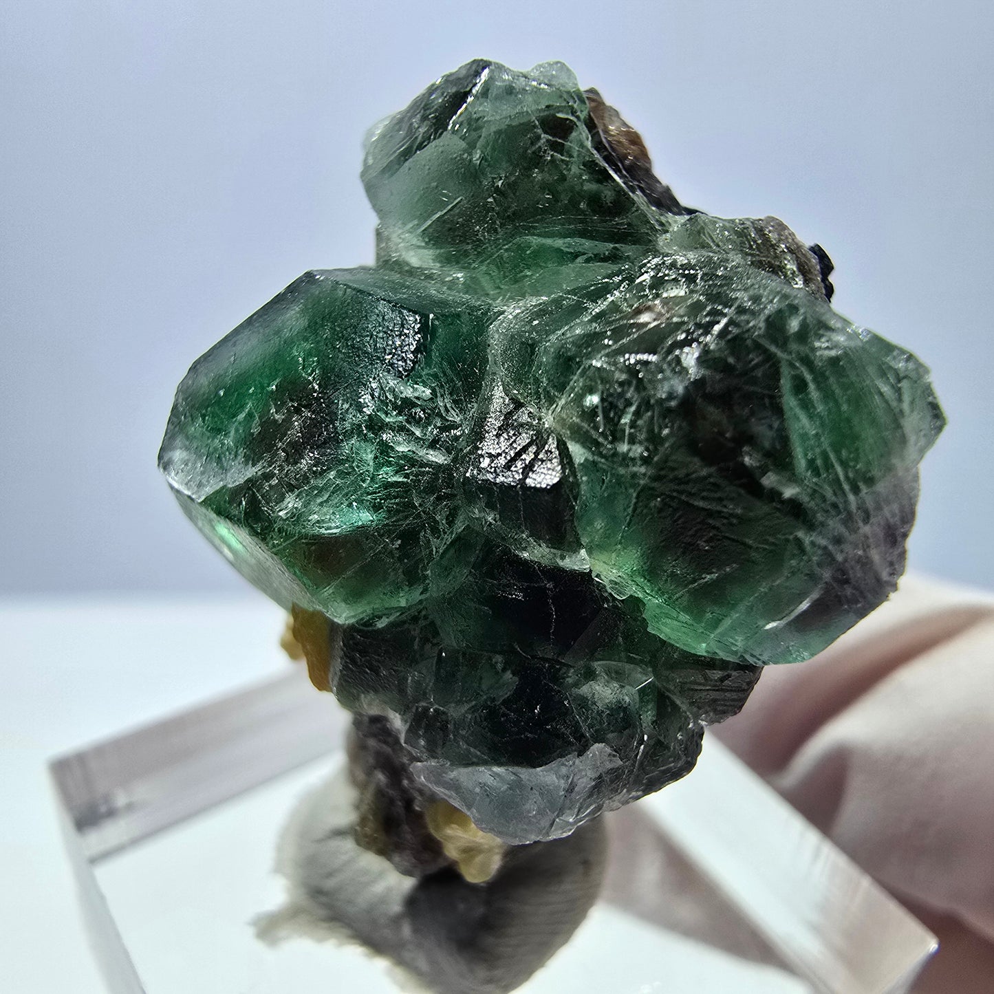 Cube de fluorite fantôme hexagonal, muscovite, tourmaline Schörl Erongo, Namibie 32*26*21mm