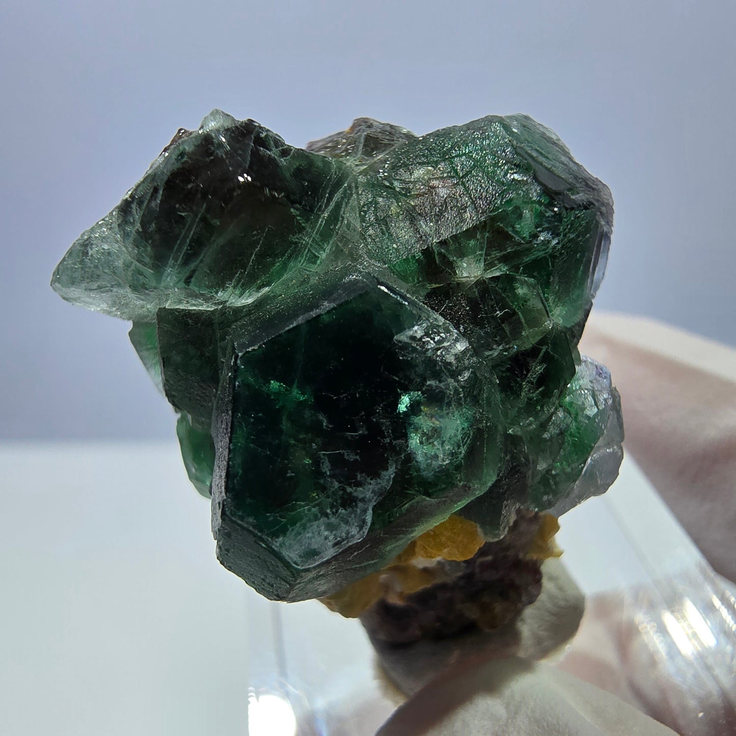 Cube de fluorite fantôme hexagonal, muscovite, tourmaline Schörl Erongo, Namibie 32*26*21mm
