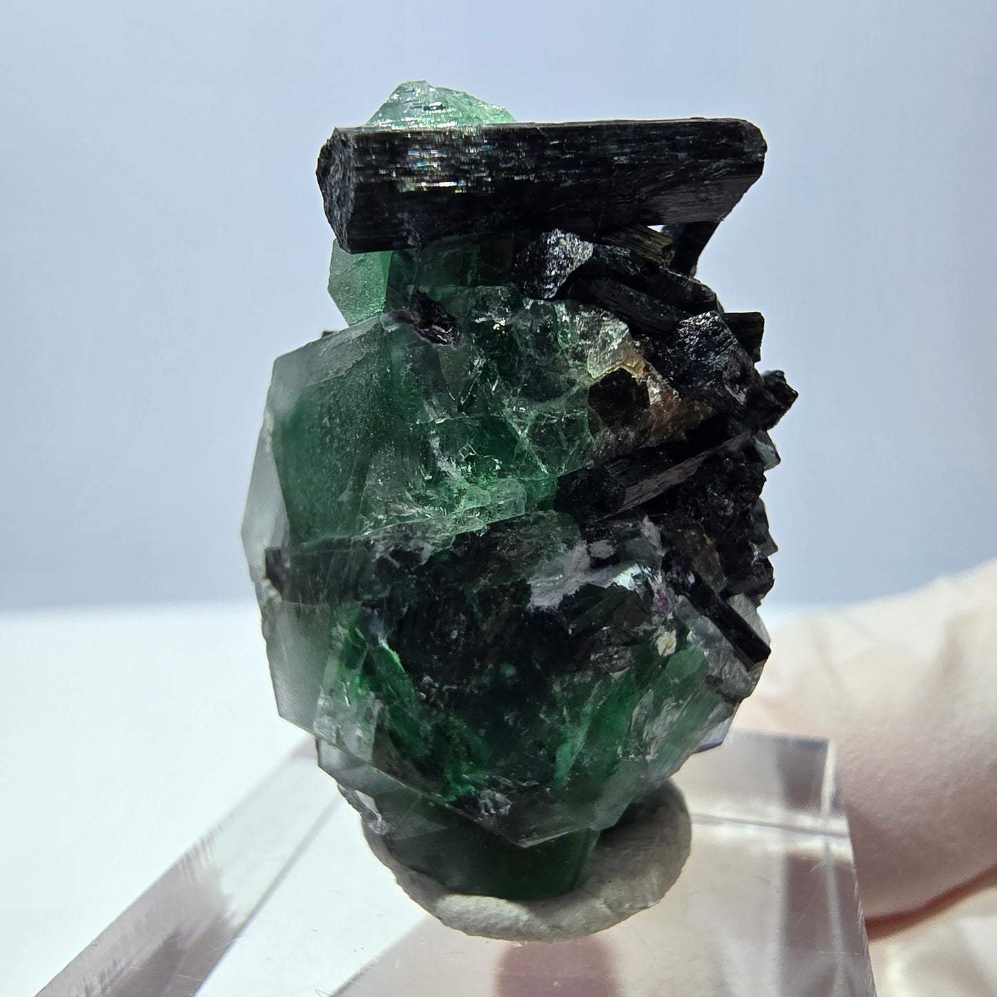 Cube hexagonal de fluorite fantôme, spécimen de tourmaline Schorl, Erongo, Namibie, 30 x 25 x 13 mm