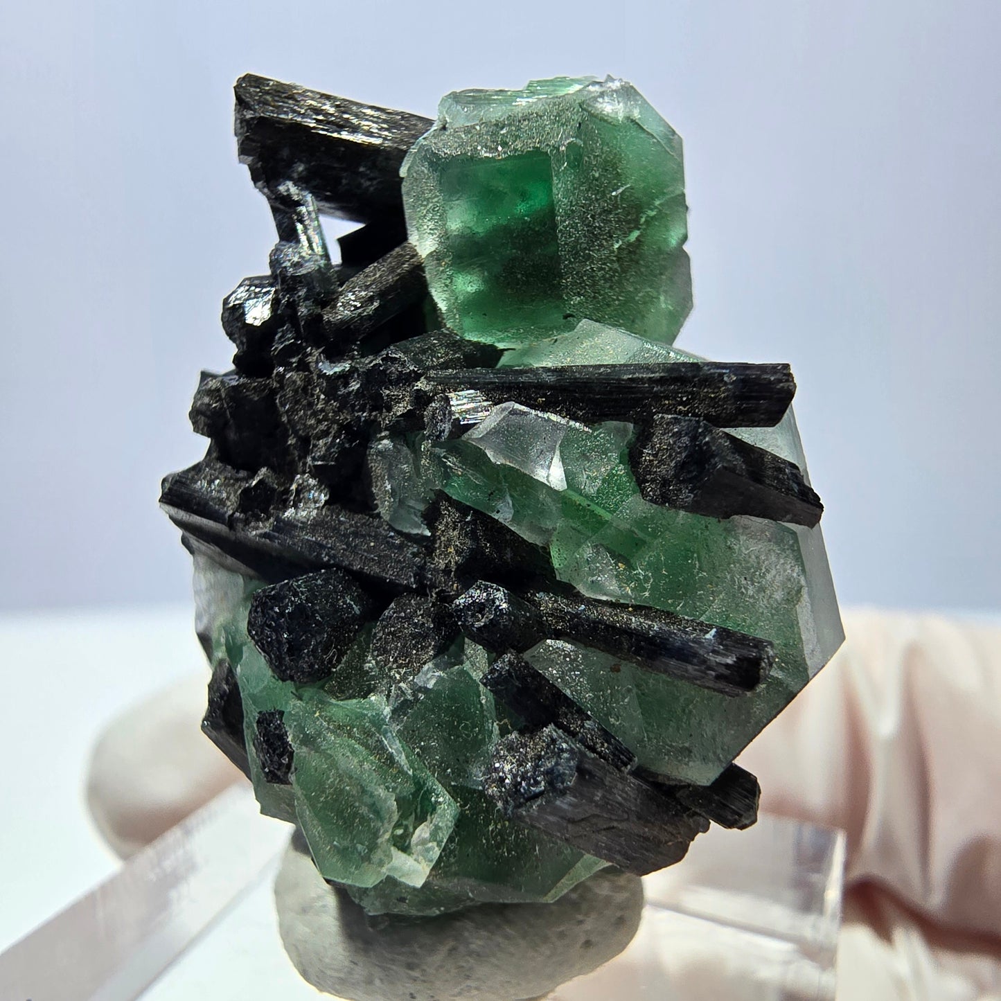 Cube hexagonal de fluorite fantôme, spécimen de tourmaline Schorl, Erongo, Namibie, 30 x 25 x 13 mm