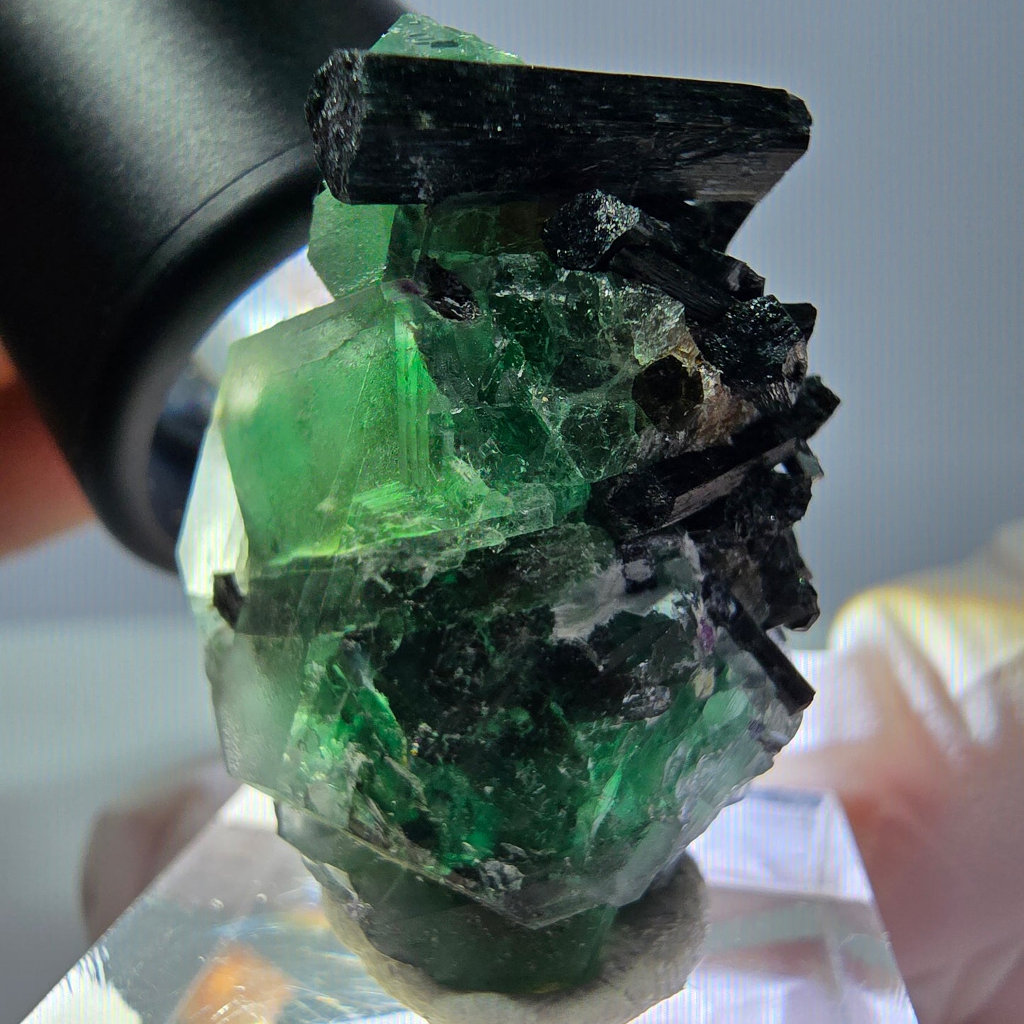 Cube hexagonal de fluorite fantôme, spécimen de tourmaline Schorl, Erongo, Namibie, 30 x 25 x 13 mm