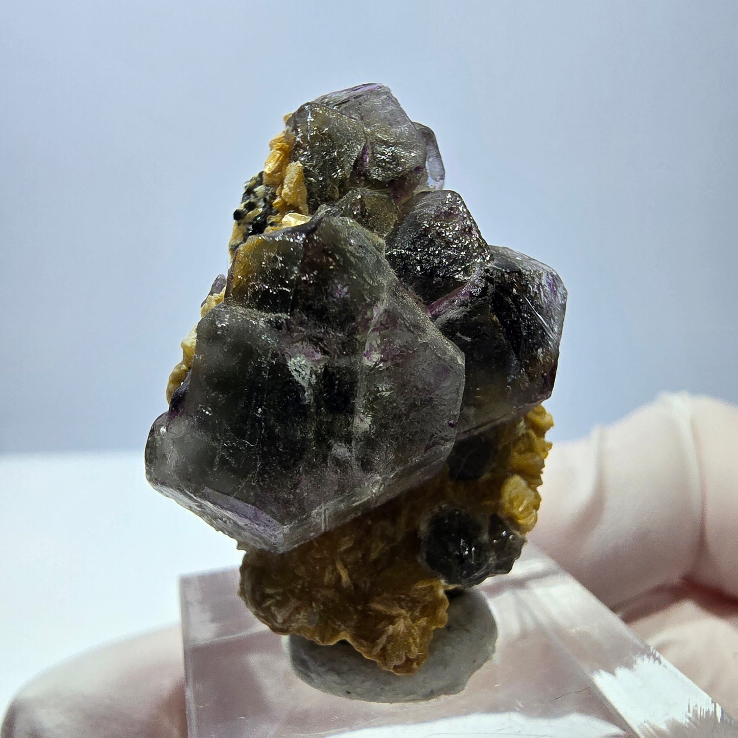 Cube hexagonal de fluorite fantôme, muscovite, tourmaline Schörl, Erongo, Namibie, 36 x 26 x 18 mm