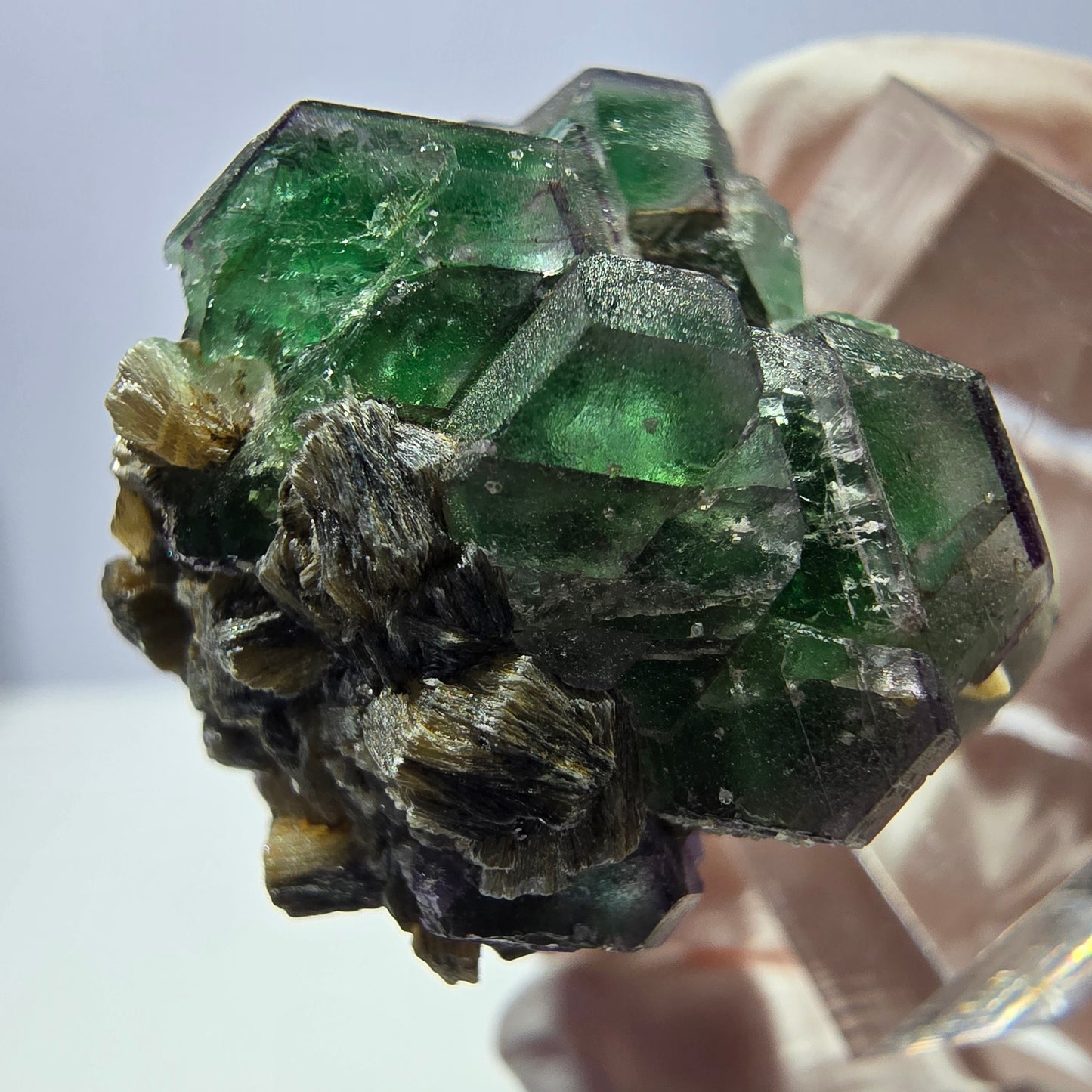 Cube hexagonal de fluorite fantôme, muscovite, tourmaline Schörl, Erongo, Namibie 26 x 24 x 24 mm