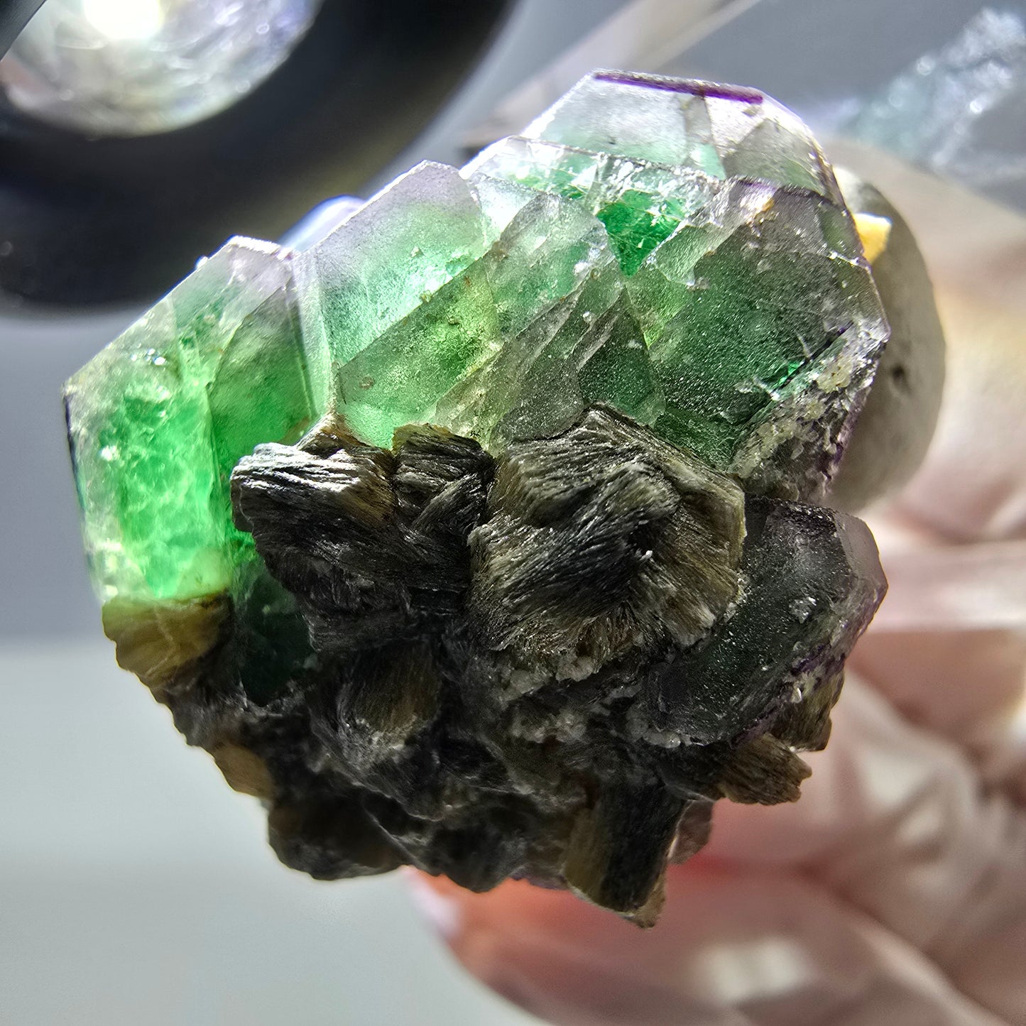 Cube hexagonal de fluorite fantôme, muscovite, tourmaline Schörl, Erongo, Namibie 26 x 24 x 24 mm