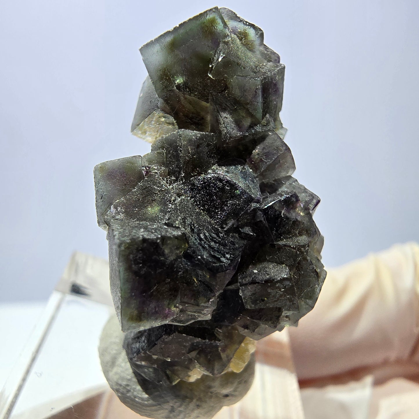 Cubes de fluorite fantôme colorés, spécimen de muscovite, Erongo, Namibie, 33 x 20 x 16 mm