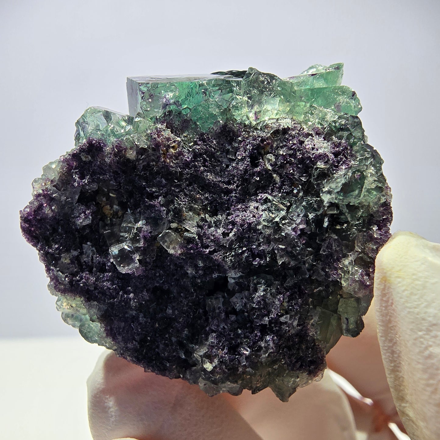Spécimen de cube de fluorite fantôme, zonal, vert violet Okorusu, Namibie 35*34*29 mm