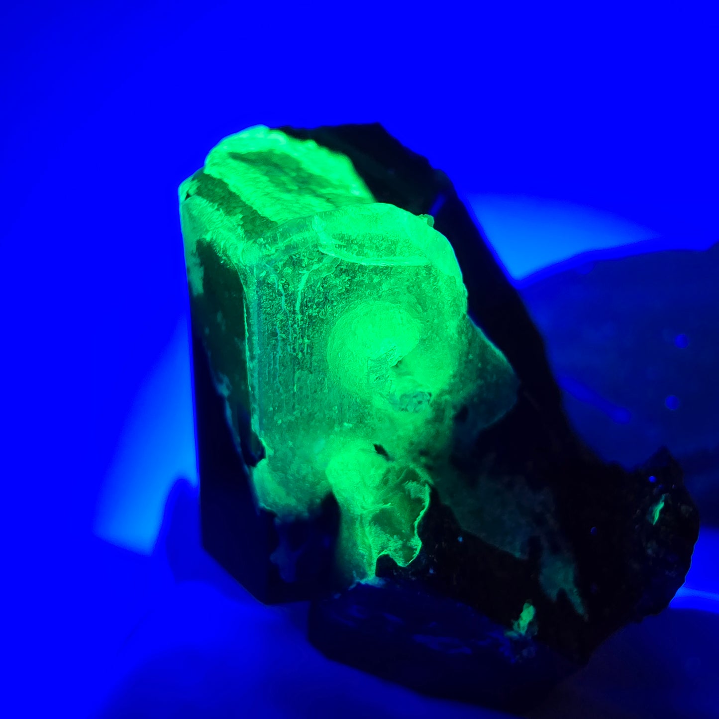 Sym. Tourmaline Schörl, quartz fumé, stade hyalite Erongo, Namibie 34*27*15mm