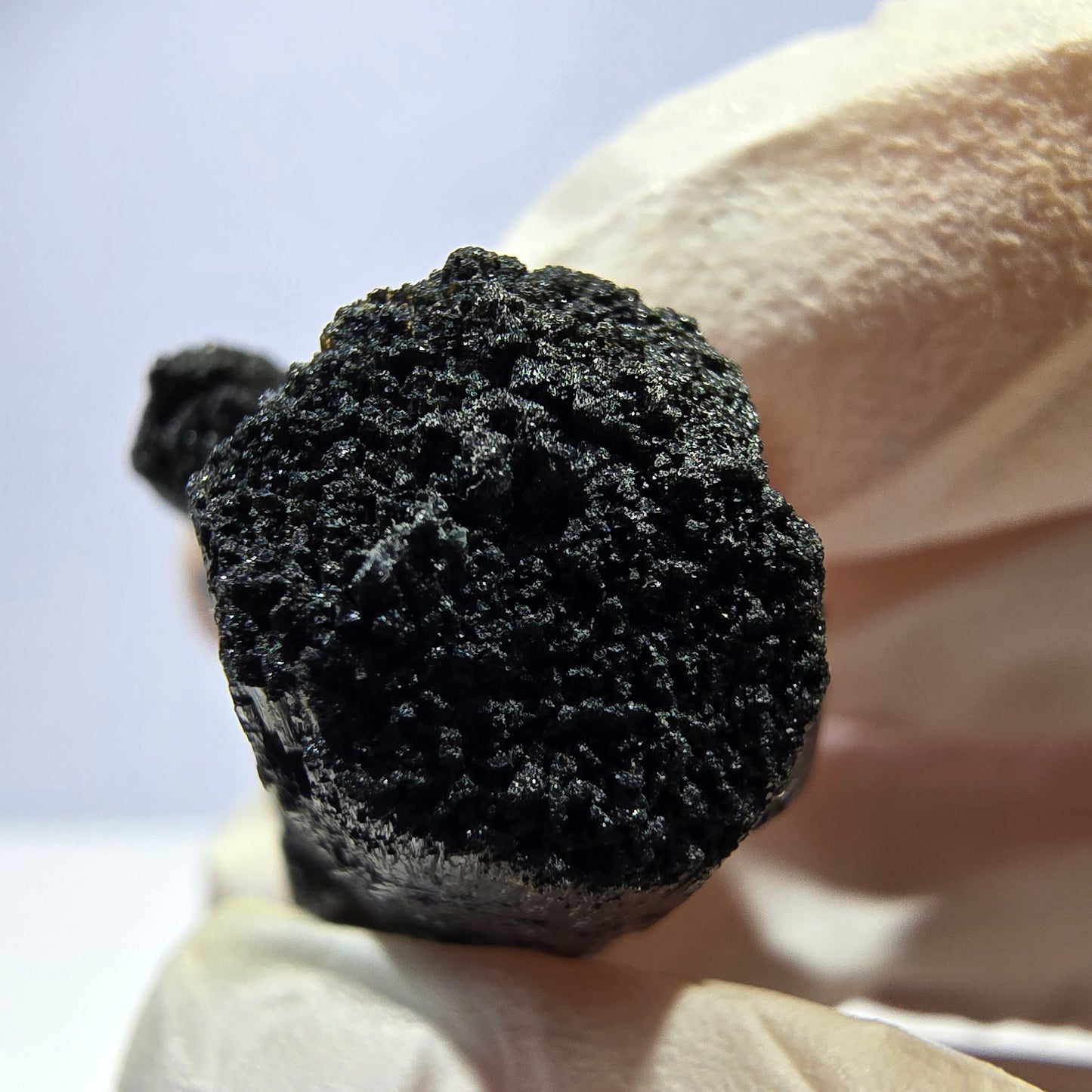 Rare spécimen de tourmaline Schorl et de fluorite cubique, Erongo, Namibie, 32 x 21 x 14 mm