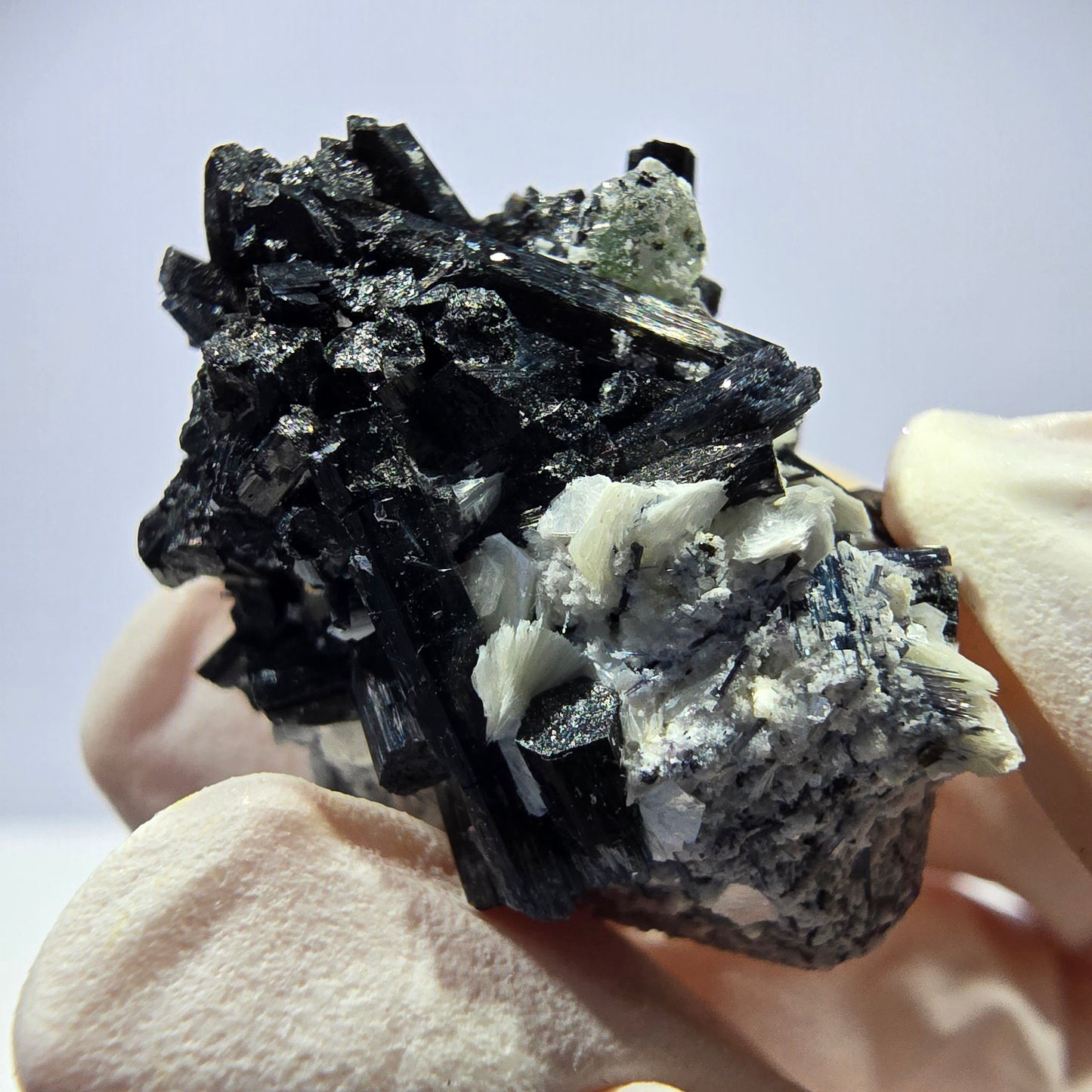 Tourmaline Schorl rare, cube de fluorite, spécimen de muscovite, Erongo, Namibie, 30 x 23 x 21 mm