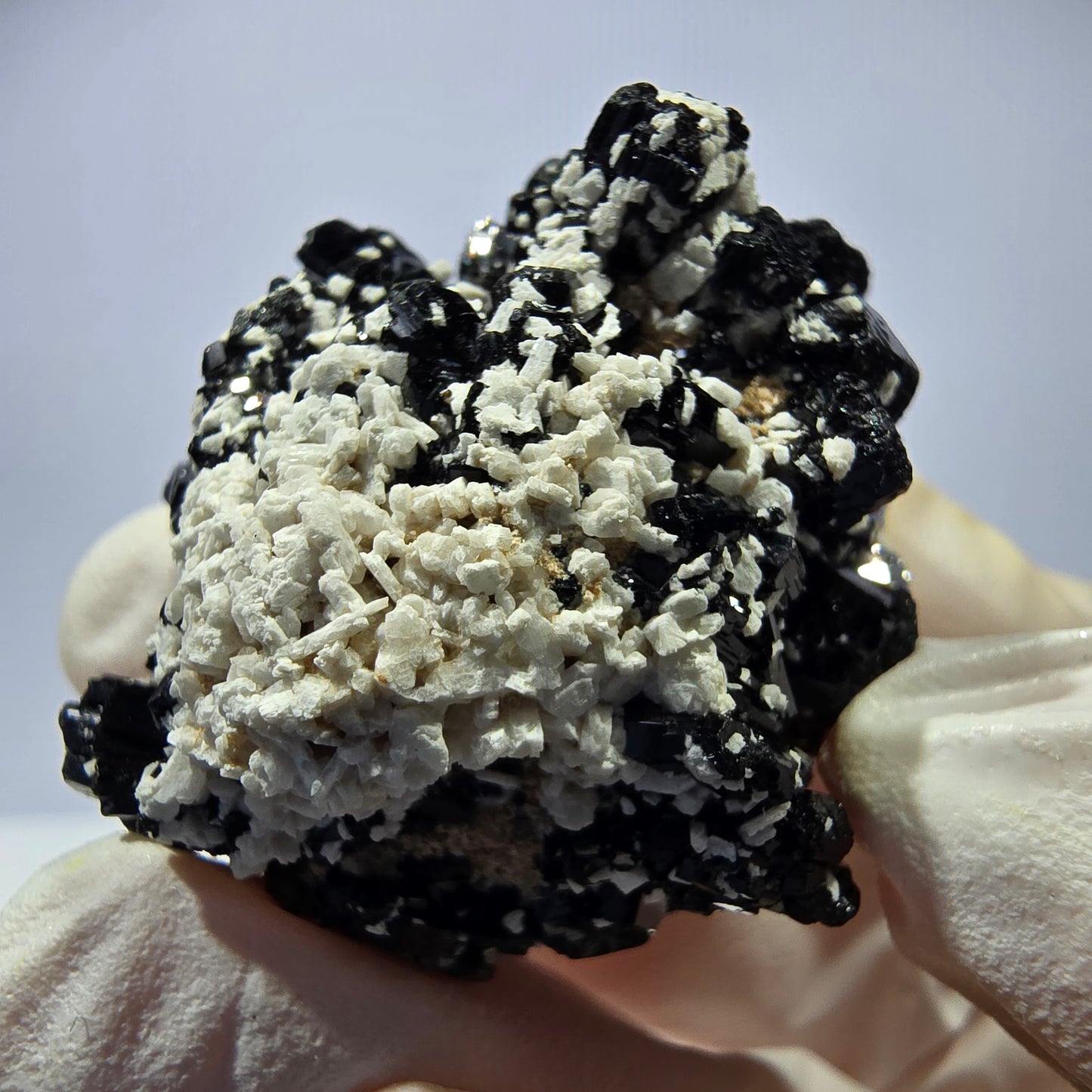 Tourmaline Schorl rare, spécimen d'orthose, Erongo, Namibie, 35 x 21 x 26 mm