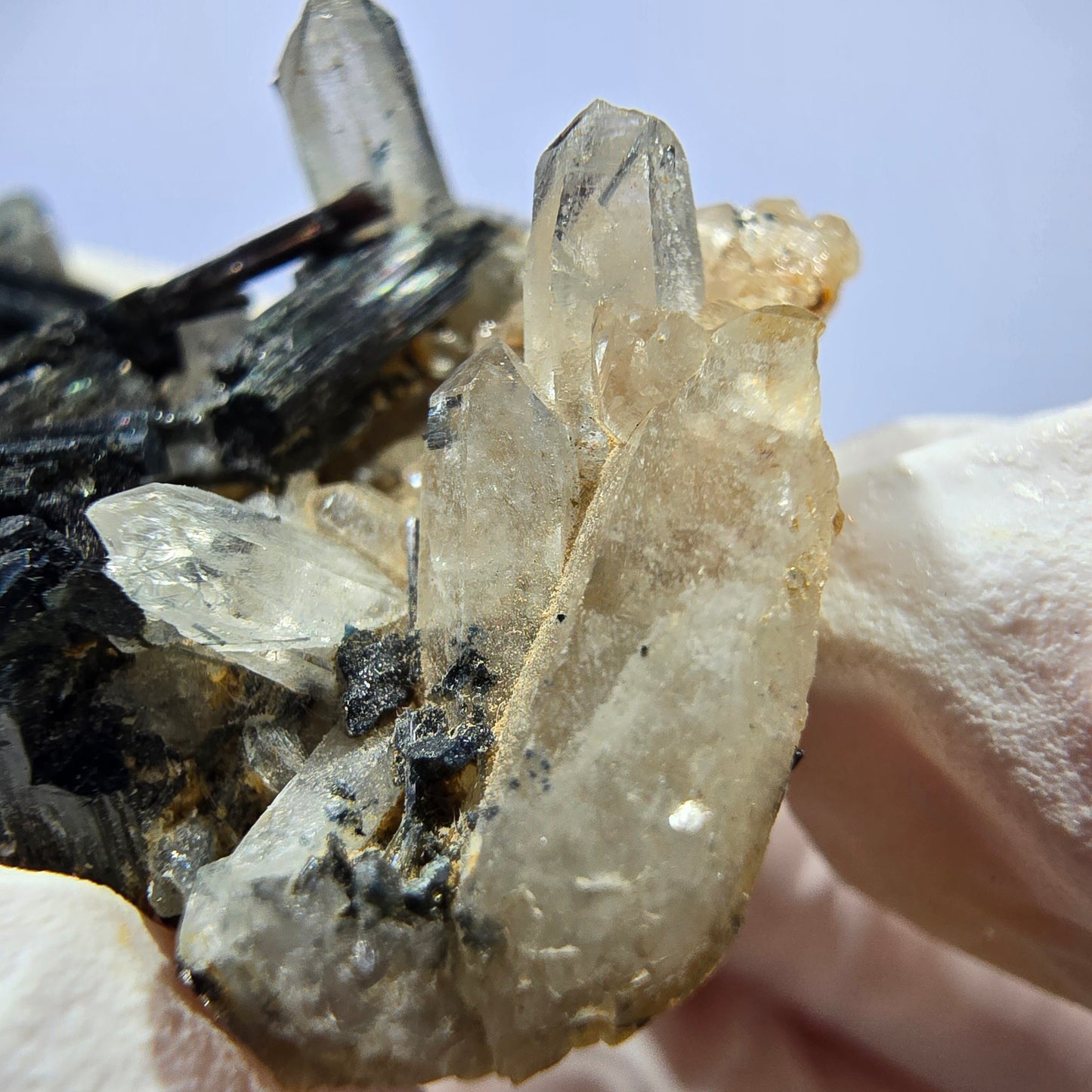 Rare spécimen de tourmaline Schorl et de quartz fumé, Erongo, Namibie, 44 x 24 x 17 mm