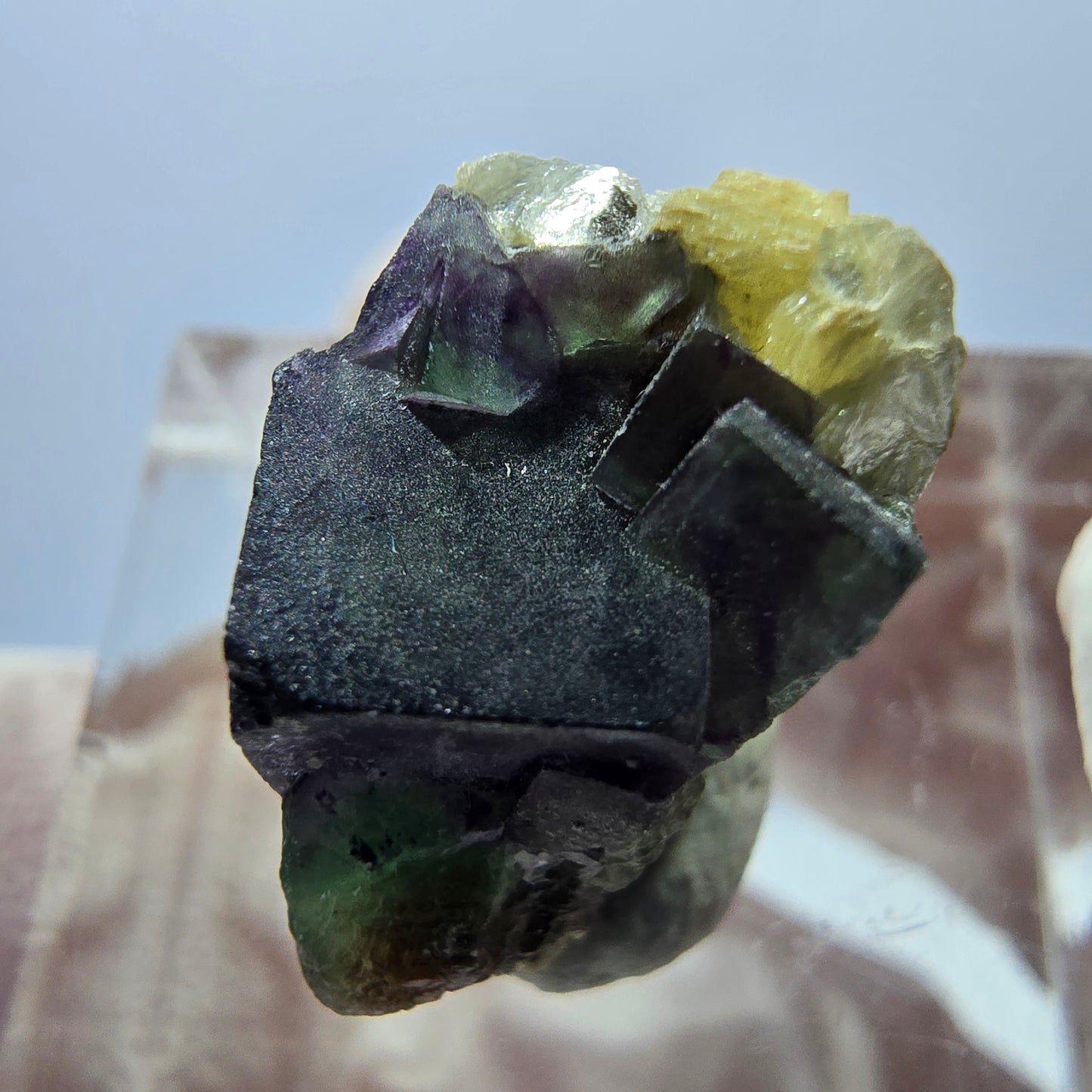 Cube de fluorite fantôme, zonal, spécimen de muscovite, Erongo, Namibie, 18 x 12 x 11 mm