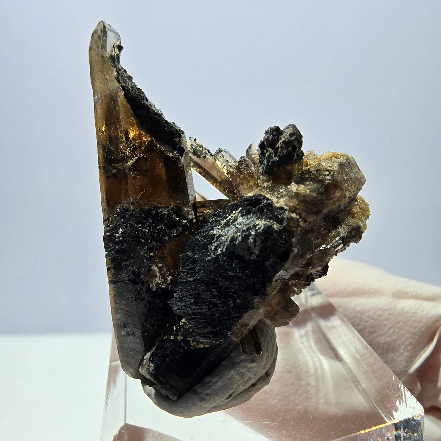 Rare spécimen de tourmaline Schorl et de quartz fumé, Erongo, Namibie, 36 x 27 x 22 mm