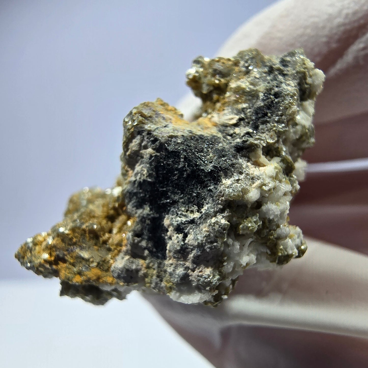 Rare spécimen de muscovite et de tourmaline Schorl, éclat métallique, Erongo, Namibie 40*28*19 mm