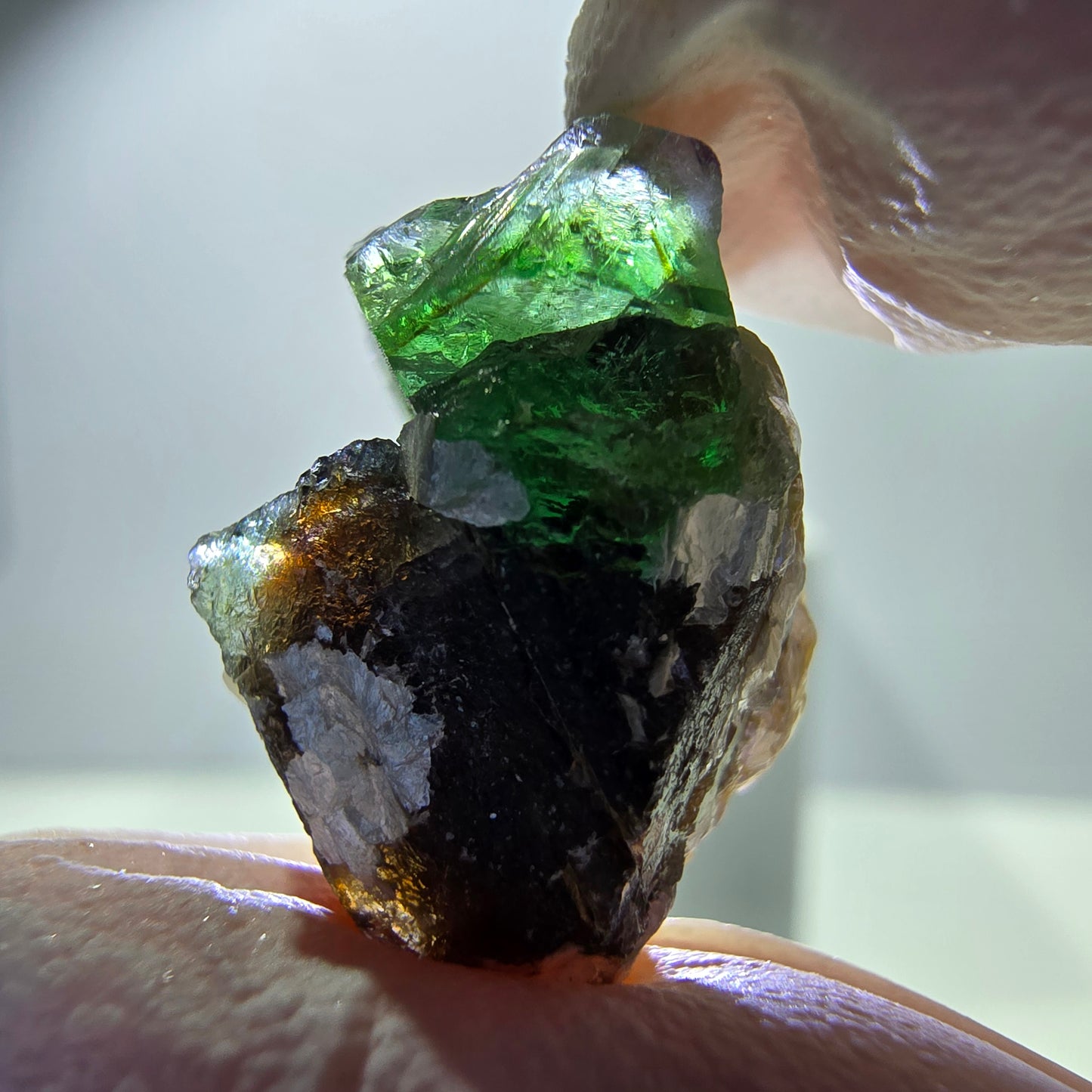 Lot de 7 fluorites fantômes, tourmalines scholl, muscovites, Erongo, Namibie, 24-14 mm