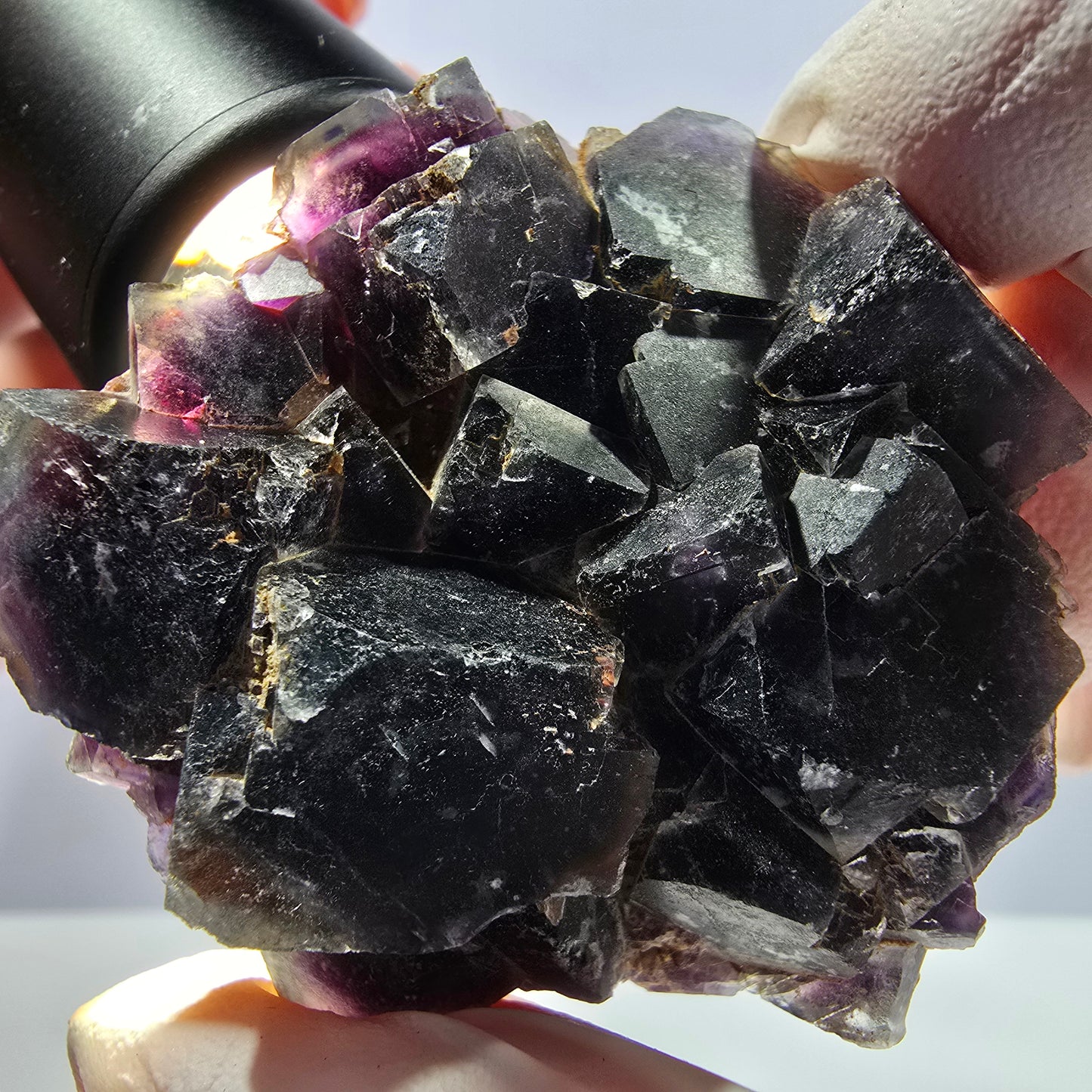 Rare spécimen de cube de fluorite fantôme, bleu-violet Okorusu, Namibie 53 x 48 x 23 mm