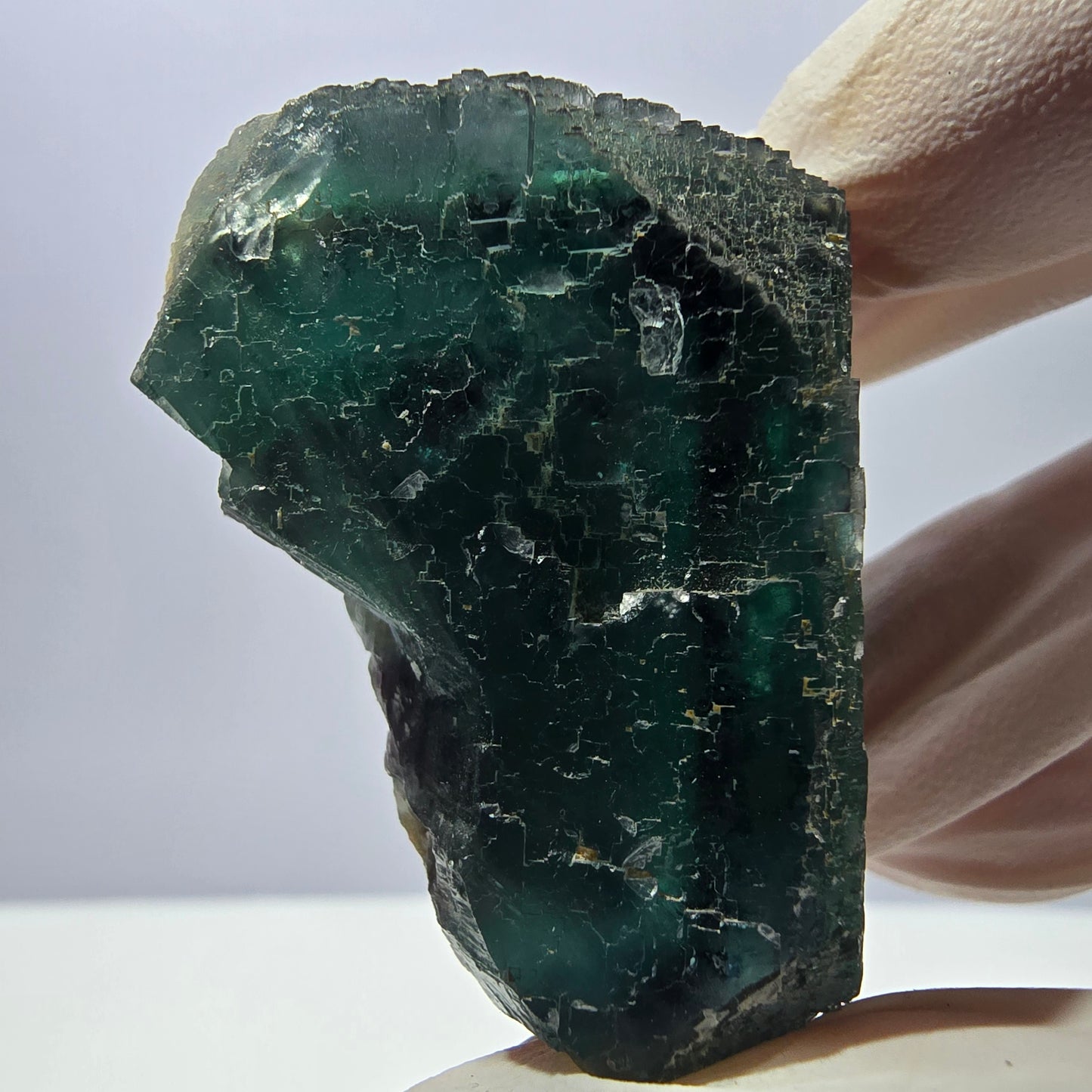 Spécimen de cube de fluorite fantôme, parquet vert Okorusu, Namibie 44*37*35 mm