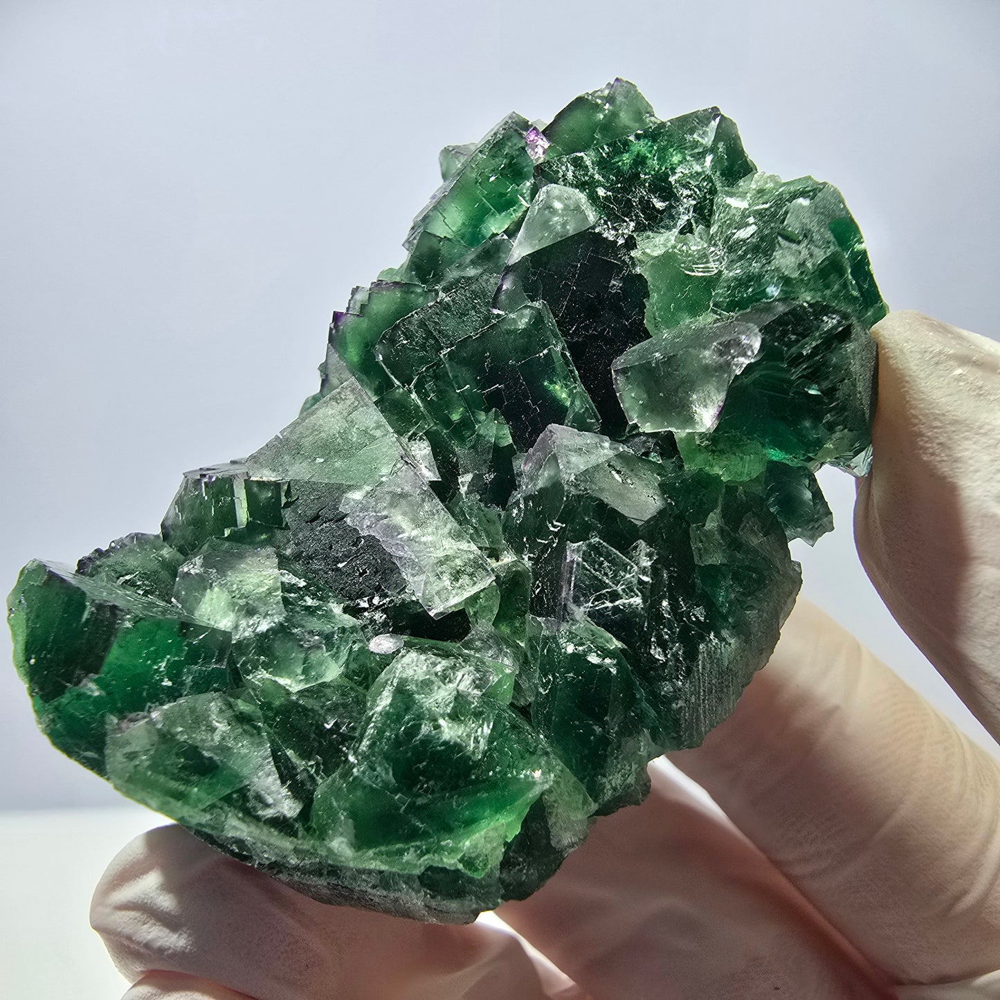 Spécimen de cube de fluorite fantôme parqueté vert violet Okorusu, Namibie 62*44*26mm
