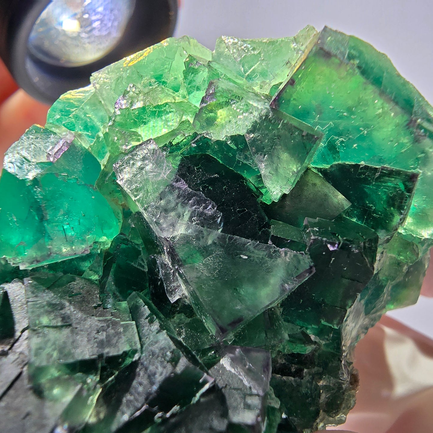 Spécimen de cube de fluorite fantôme parqueté vert violet Okorusu, Namibie 62*44*26mm