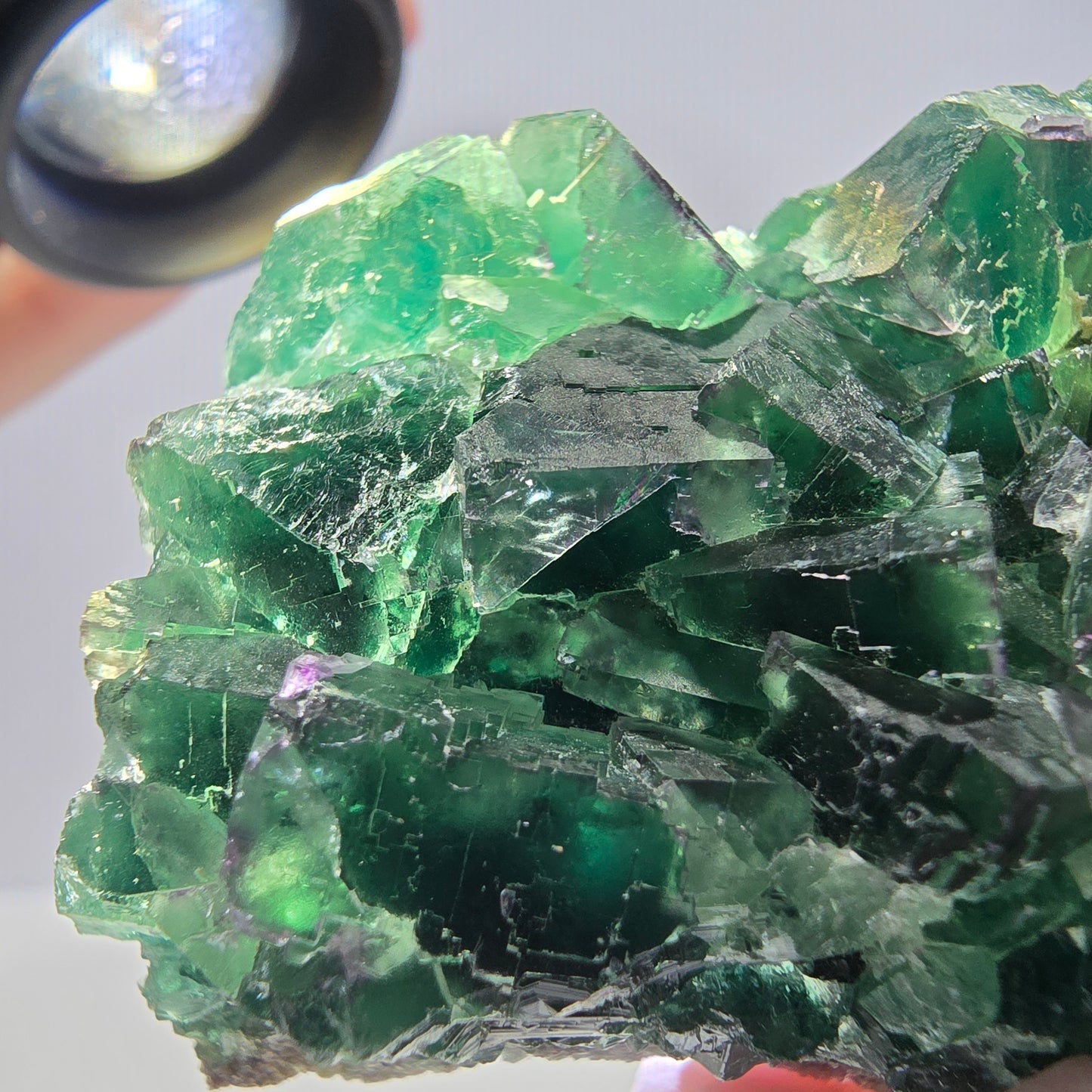 Spécimen de cube de fluorite fantôme parqueté vert violet Okorusu, Namibie 62*44*26mm