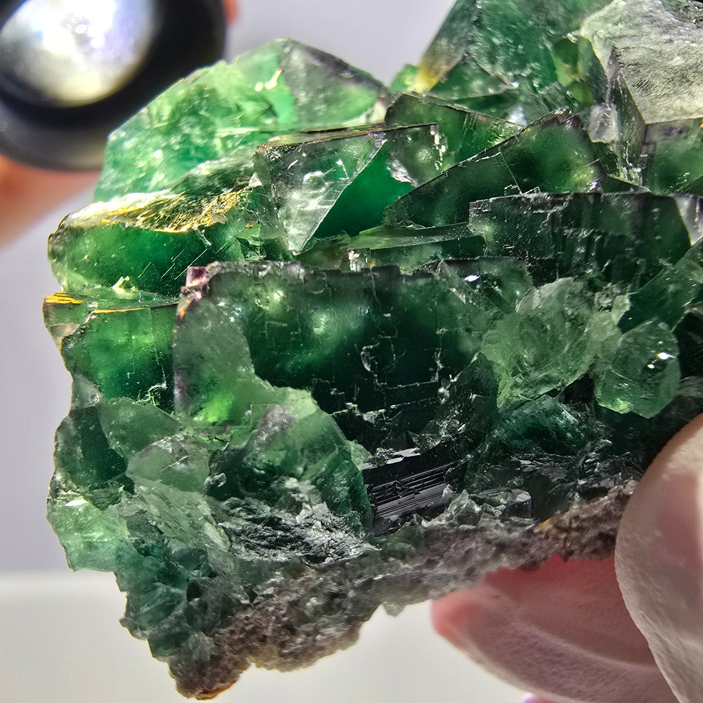 Spécimen de cube de fluorite fantôme parqueté vert violet Okorusu, Namibie 62*44*26mm