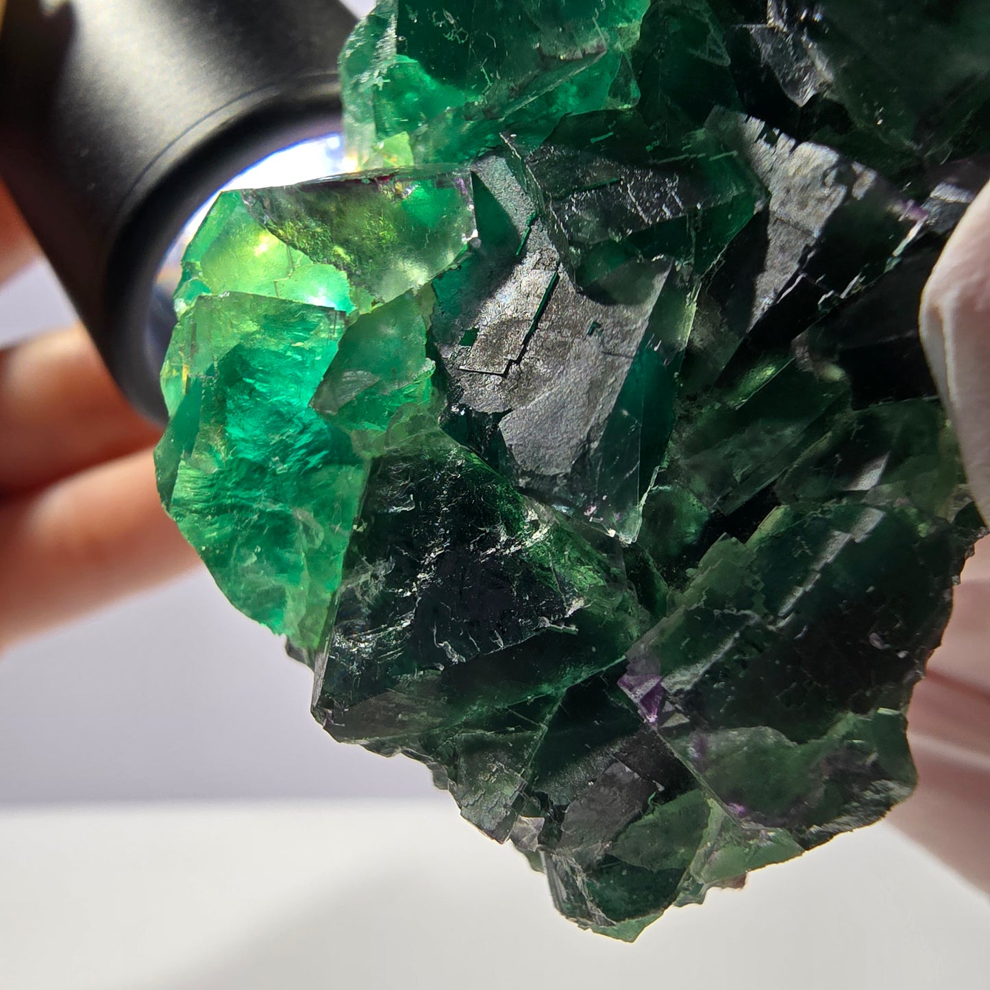 Spécimen de cube de fluorite fantôme parqueté vert violet Okorusu, Namibie 62*44*26mm