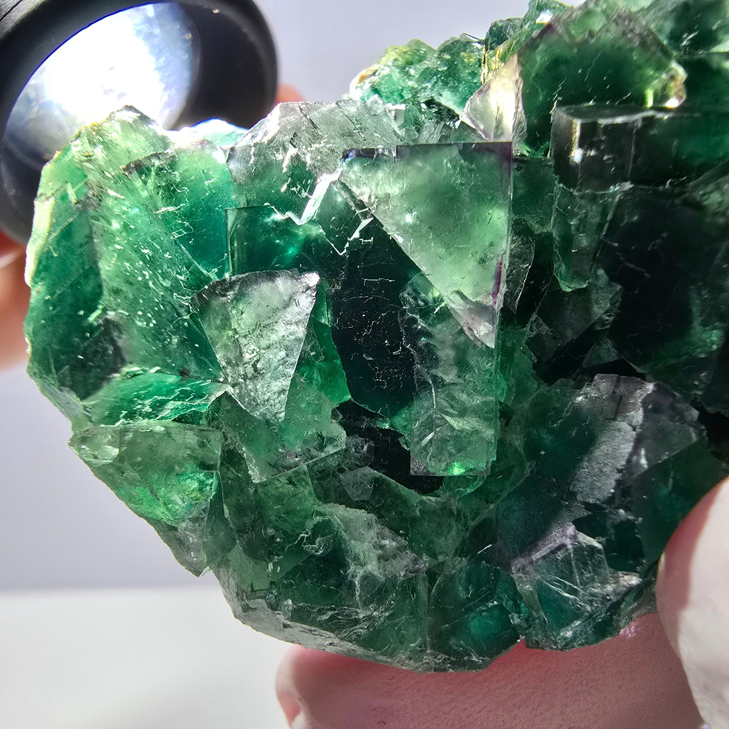 Spécimen de cube de fluorite fantôme parqueté vert violet Okorusu, Namibie 62*44*26mm