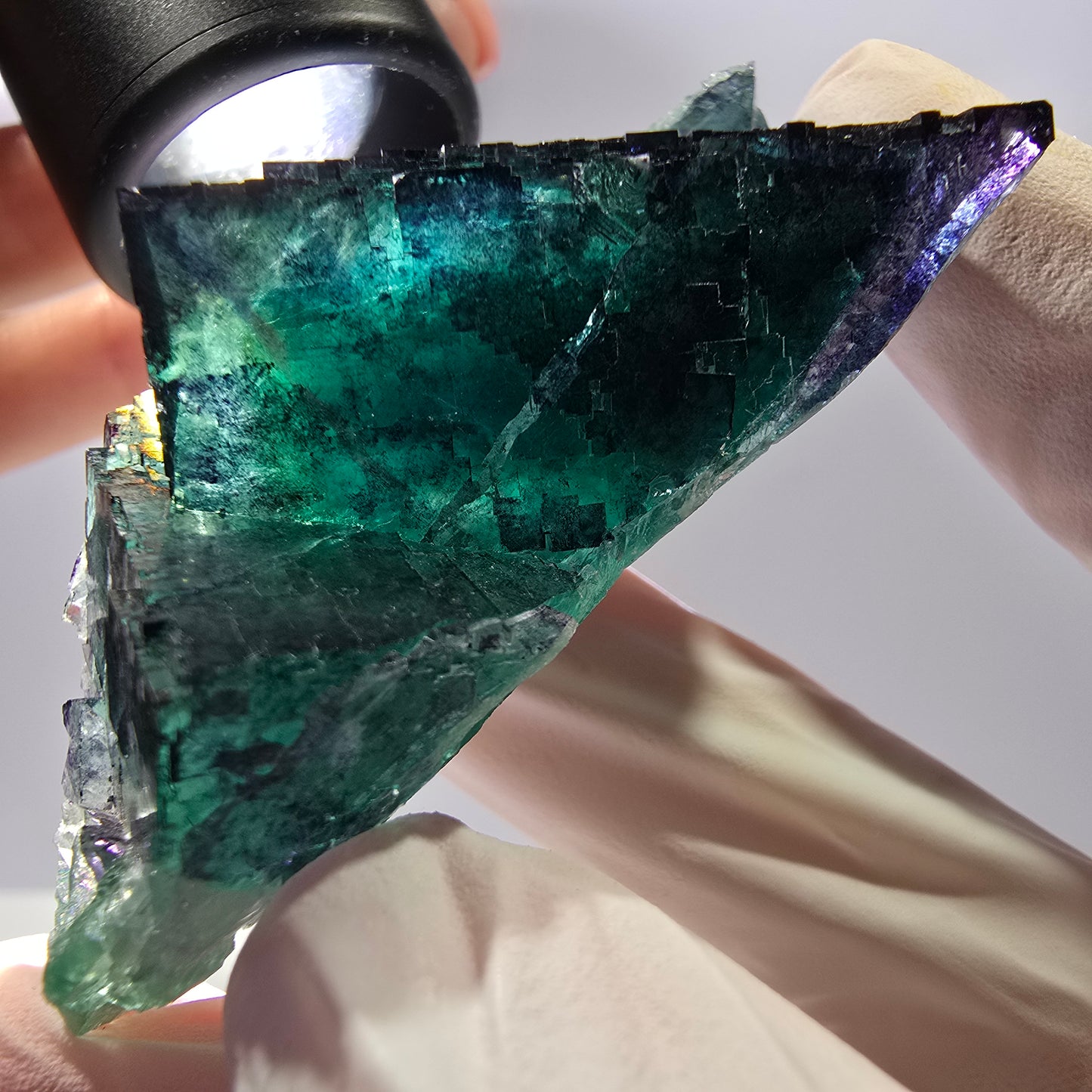 Spécimen de cube de fluorite fantôme parqueté vert violet Okorusu, Namibie 71*36*21mm