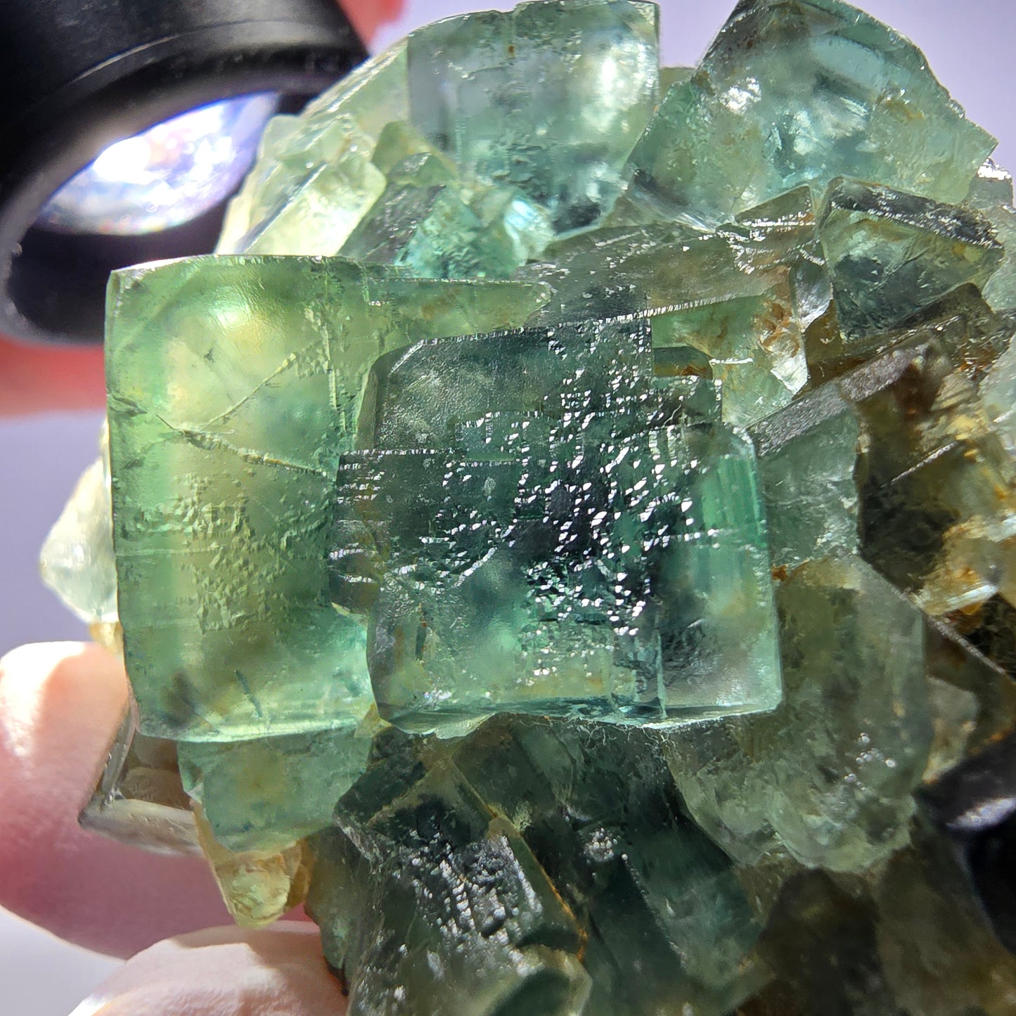 Spécimen de cube de fluorite fantôme parqueté vert violet Okorusu, Namibie 60*48*24mm