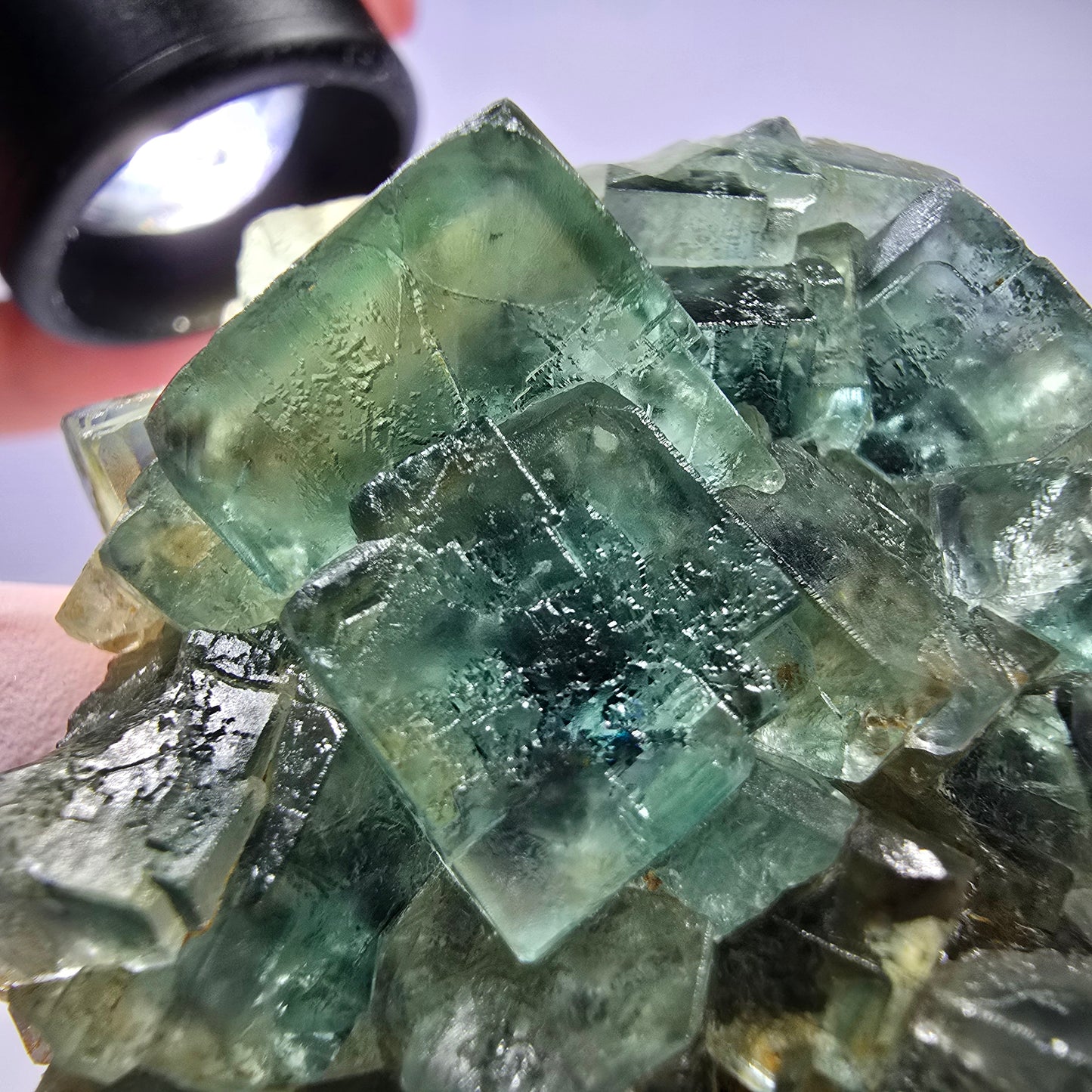 Spécimen de cube de fluorite fantôme parqueté vert violet Okorusu, Namibie 60*48*24mm